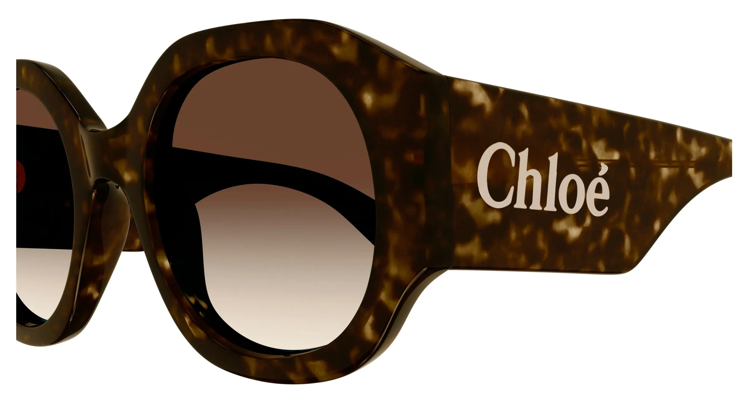 Chloé CH0234S 002 Occhiali da sole Acetato Havana Marrone Rotonda - immagine 3