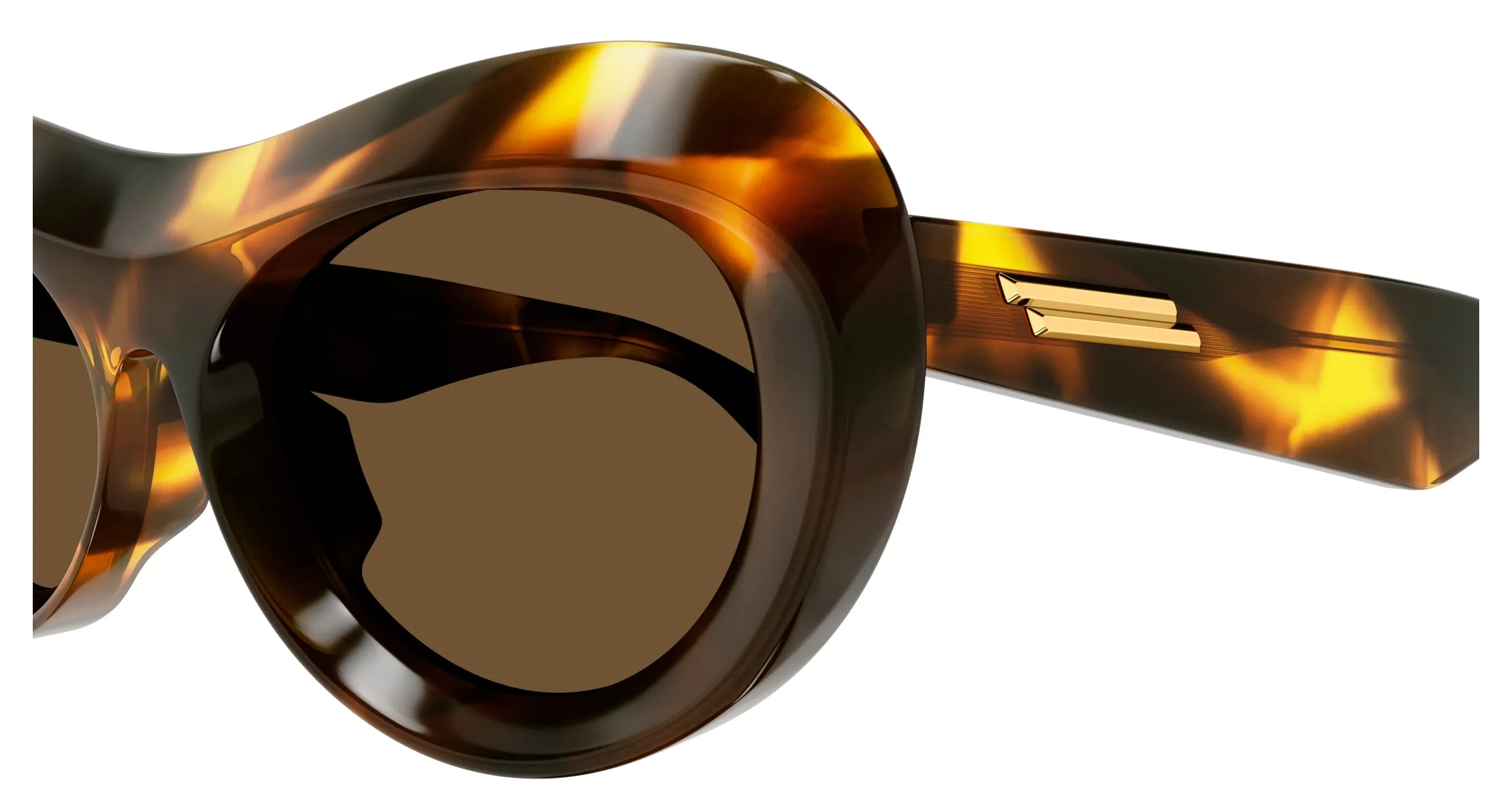 Bottega Veneta Donna BV1284S 002 Occhiali da sole Acetato Havana Marrone Rotonda - immagine 3