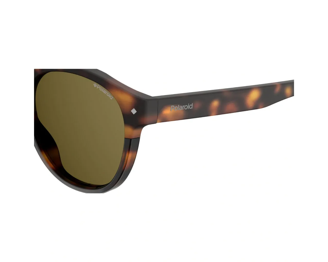 Polaroid PLD 6042/S 086/SP Occhiali da sole Plastica Havana Marrone Pantos Polarizzata - immagine 4