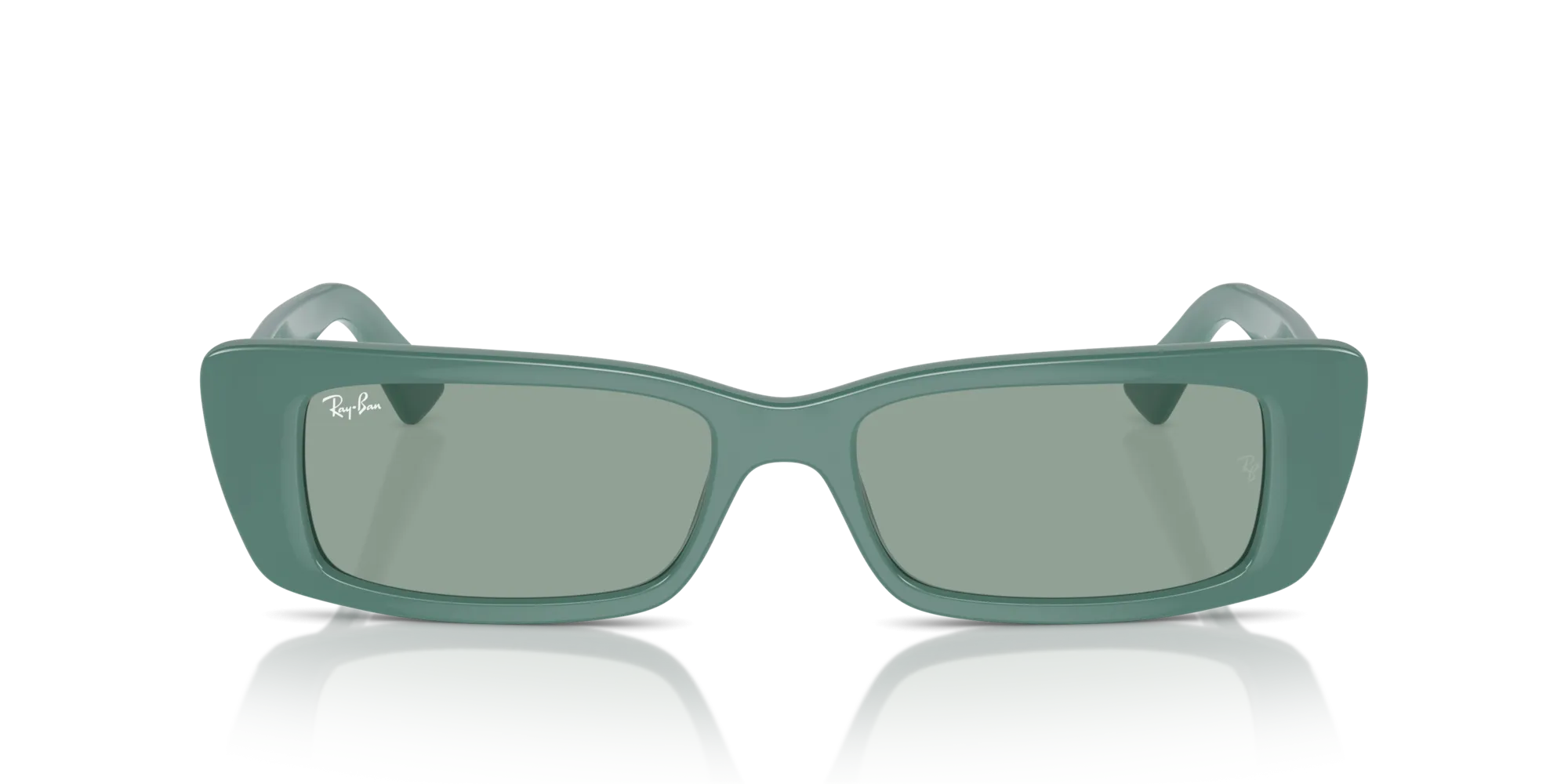 Ray - Ban RB4425 TERU 676282 Occhiali da sole Iniettato Verde Verde Squadrata Normale - immagine 3