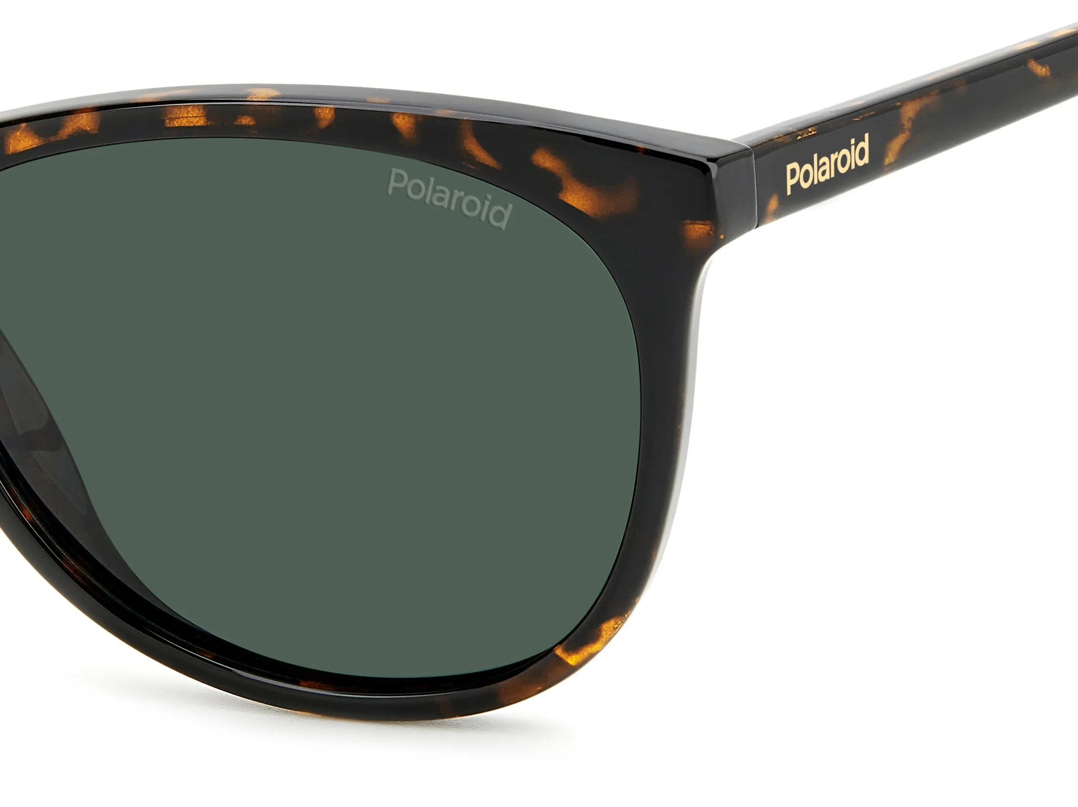 Polaroid PLD 4161/S 086/UC Occhiali da sole Policarbonato Havana Verde Cat Eye Polarizzata - immagine 4