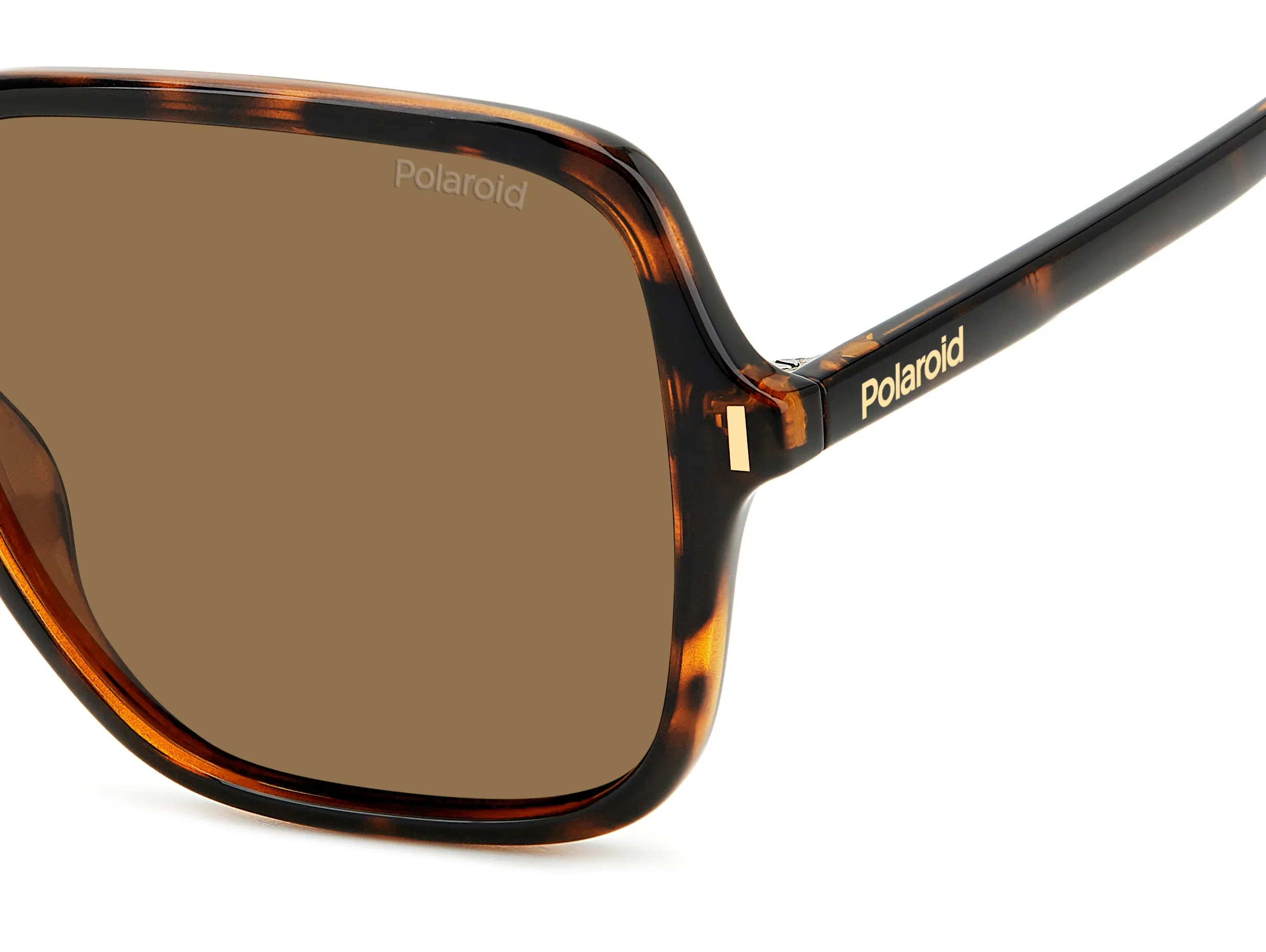 Polaroid PLD 6219/S 086/SP Occhiali da sole Plastica Havana Marrone Squadrata Polarizzata - immagine 4