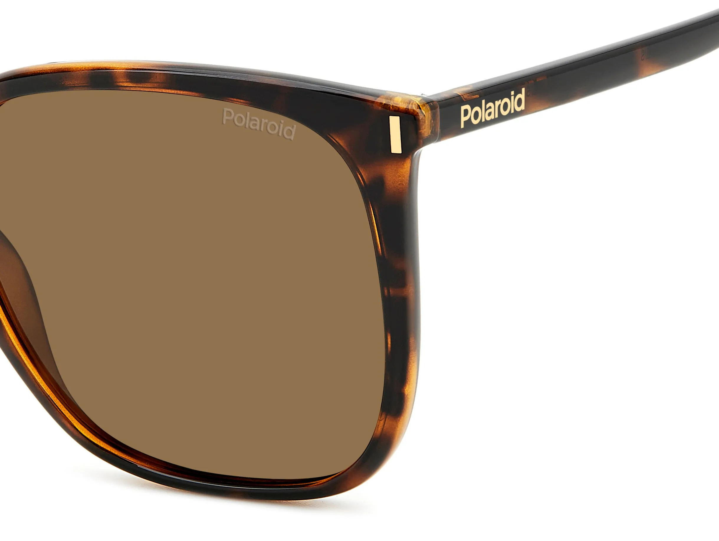 Polaroid PLD 6218/S 086/SP Occhiali da sole Plastica Havana Marrone Squadrata Polarizzata - immagine 4