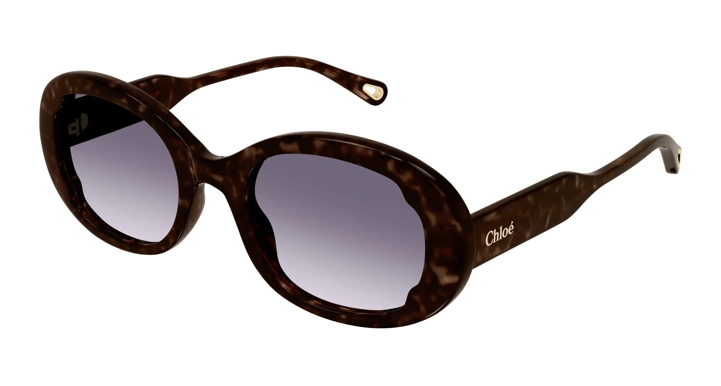 Chloé CH0197SA 002 Occhiali da sole Acetato Havana Blu Rotonda Sfumato - immagine 1