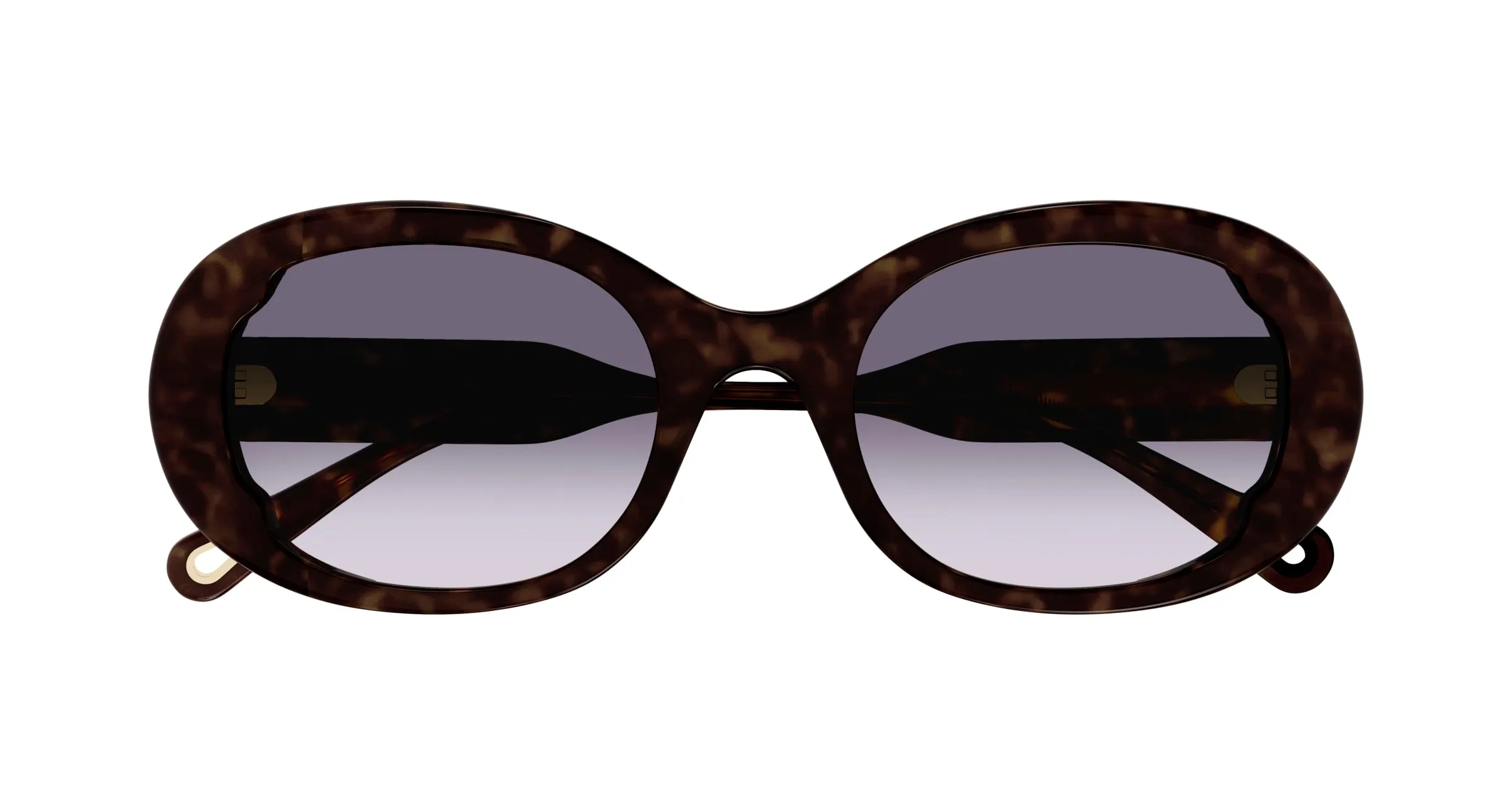 Chloé CH0197SA 002 Occhiali da sole Acetato Havana Blu Rotonda Sfumato - immagine 2