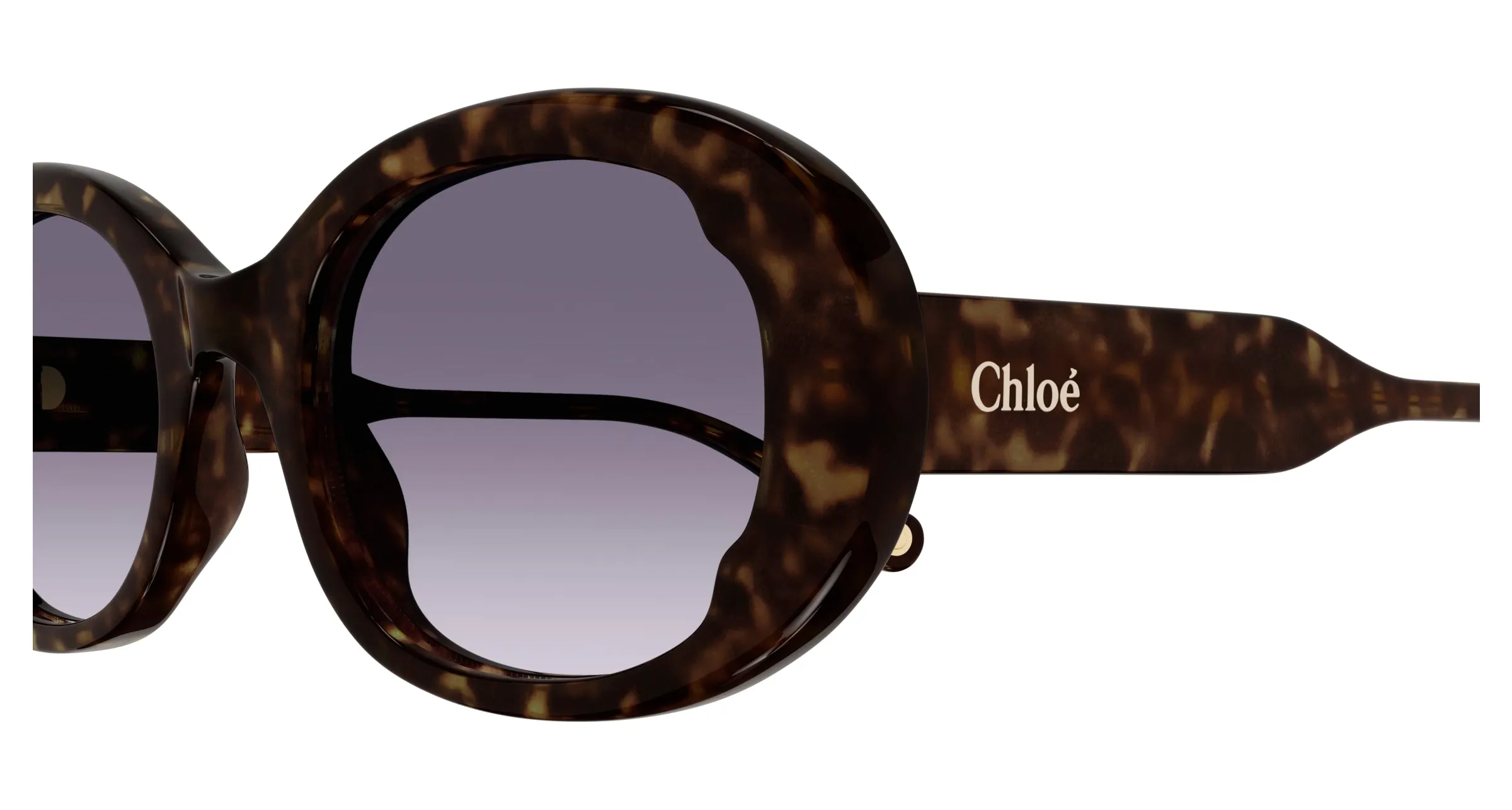Chloé CH0197SA 002 Occhiali da sole Acetato Havana Blu Rotonda Sfumato - immagine 3