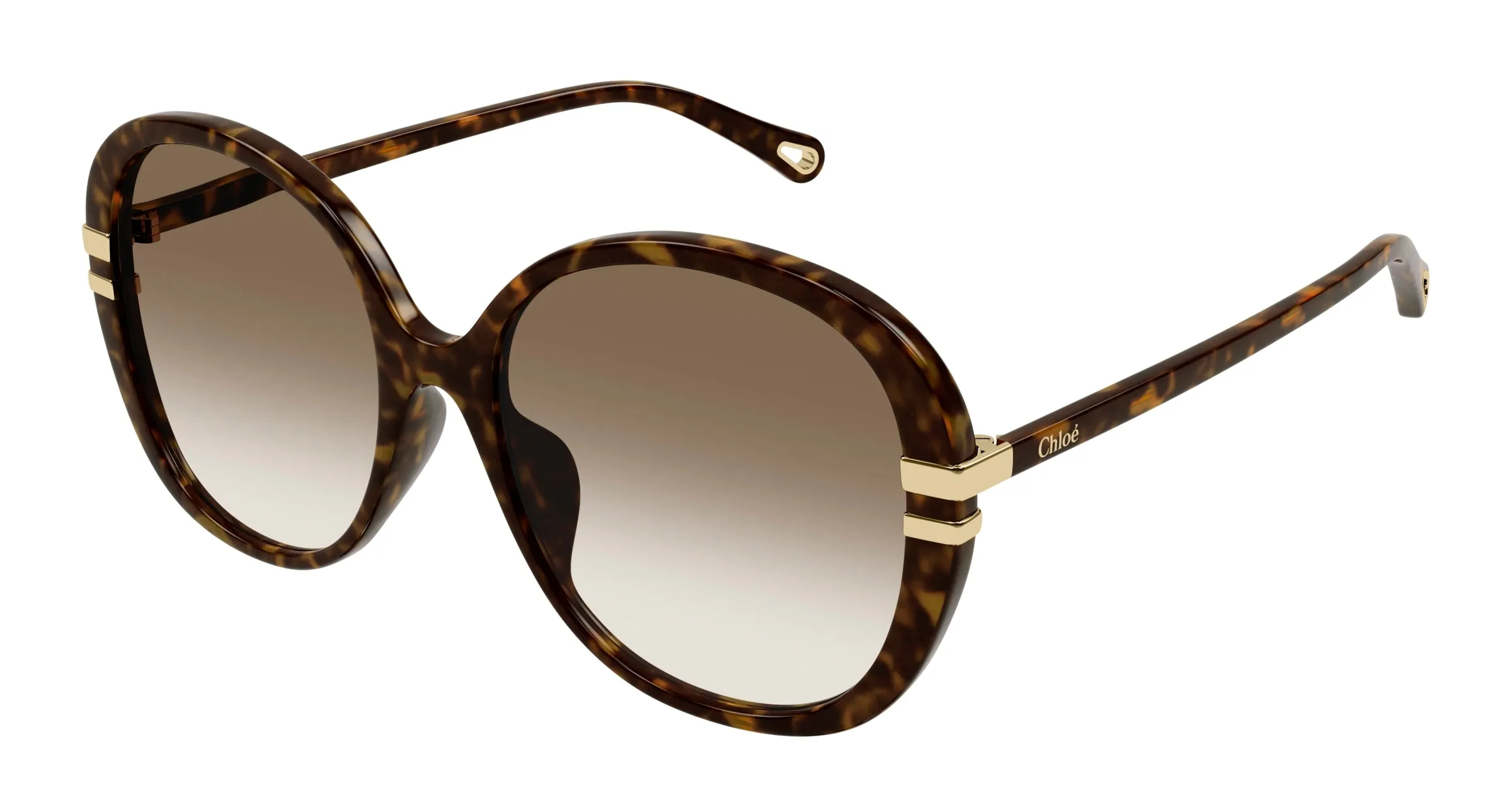 Chloé CH0207SK 002 Occhiali da sole Acetato Havana Marrone Farfalla Sfumato - immagine 1