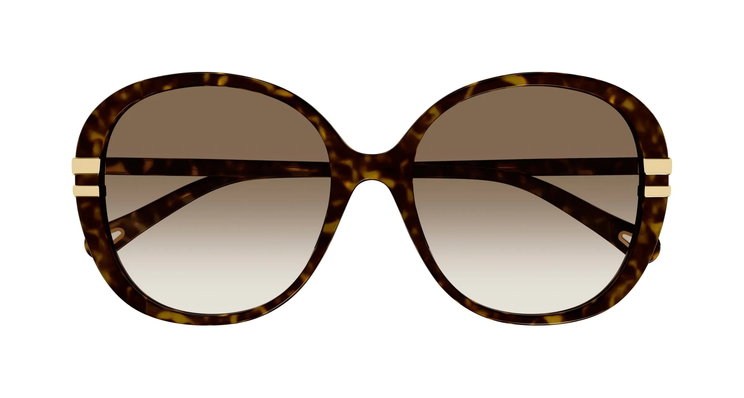 Chloé CH0207SK 002 Occhiali da sole Acetato Havana Marrone Farfalla Sfumato - immagine 2