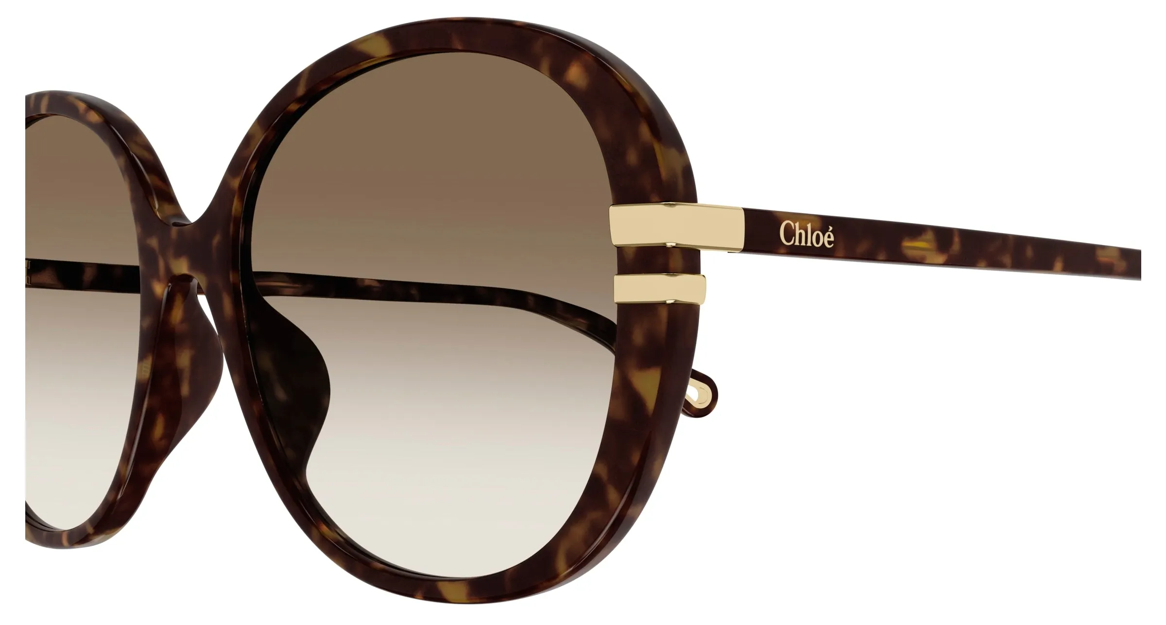Chloé CH0207SK 002 Occhiali da sole Acetato Havana Marrone Farfalla Sfumato - immagine 3
