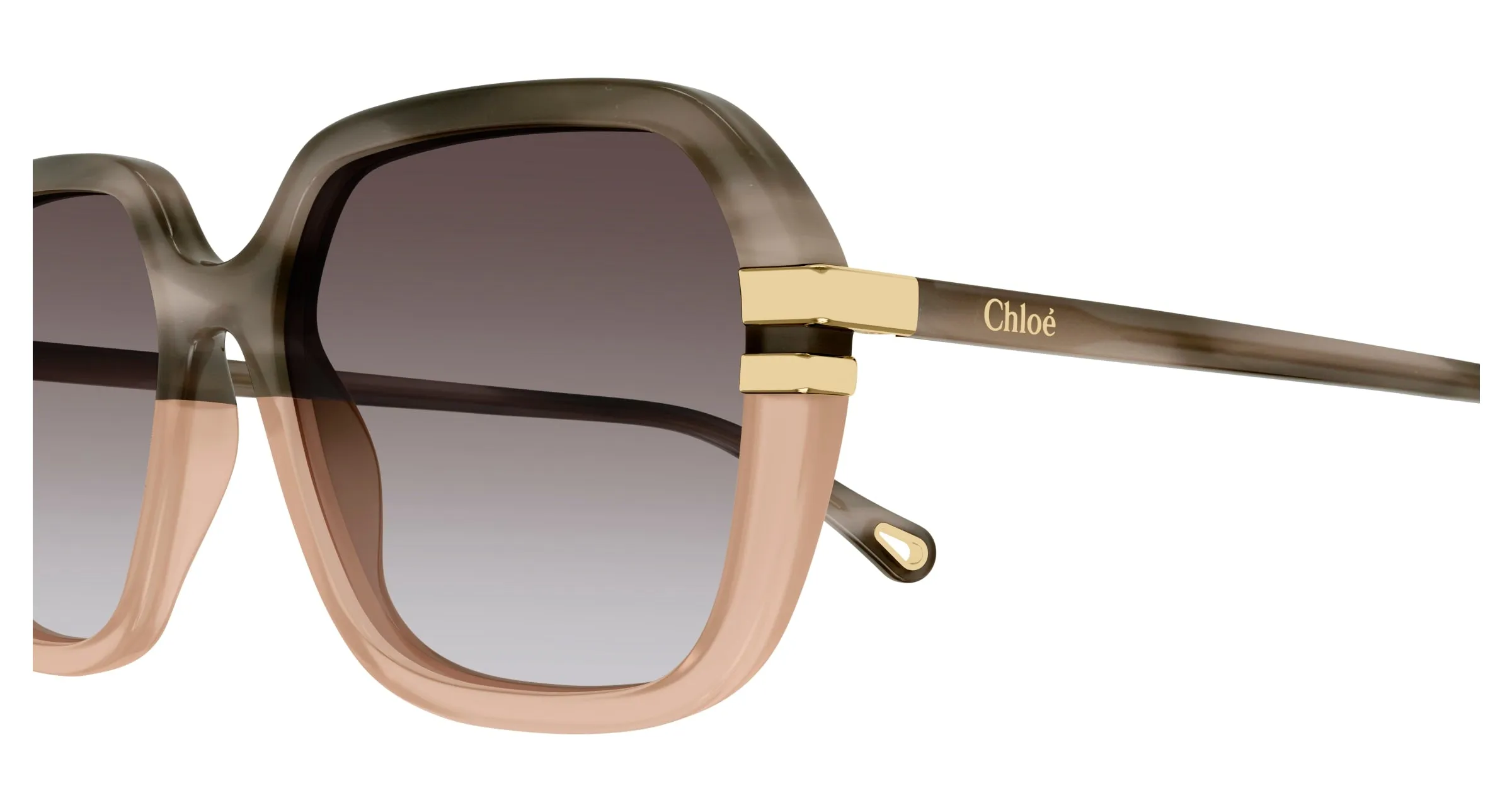 Chloé CH0204S 004 Occhiali da sole Acetato Grigio Marrone Rotonda Sfumato - immagine 3