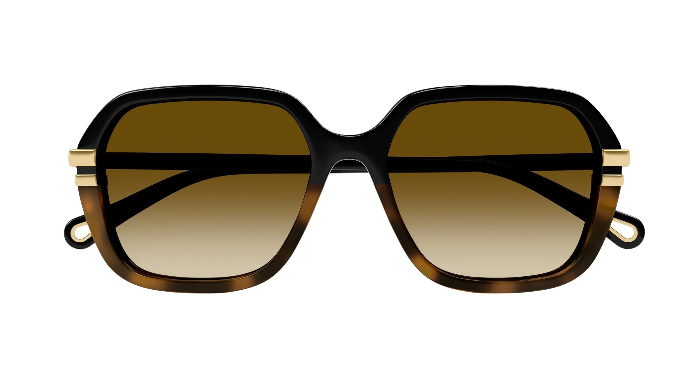 Chloé CH0204S 003 Occhiali da sole Acetato Nero Marrone Rotonda Sfumato - immagine 2