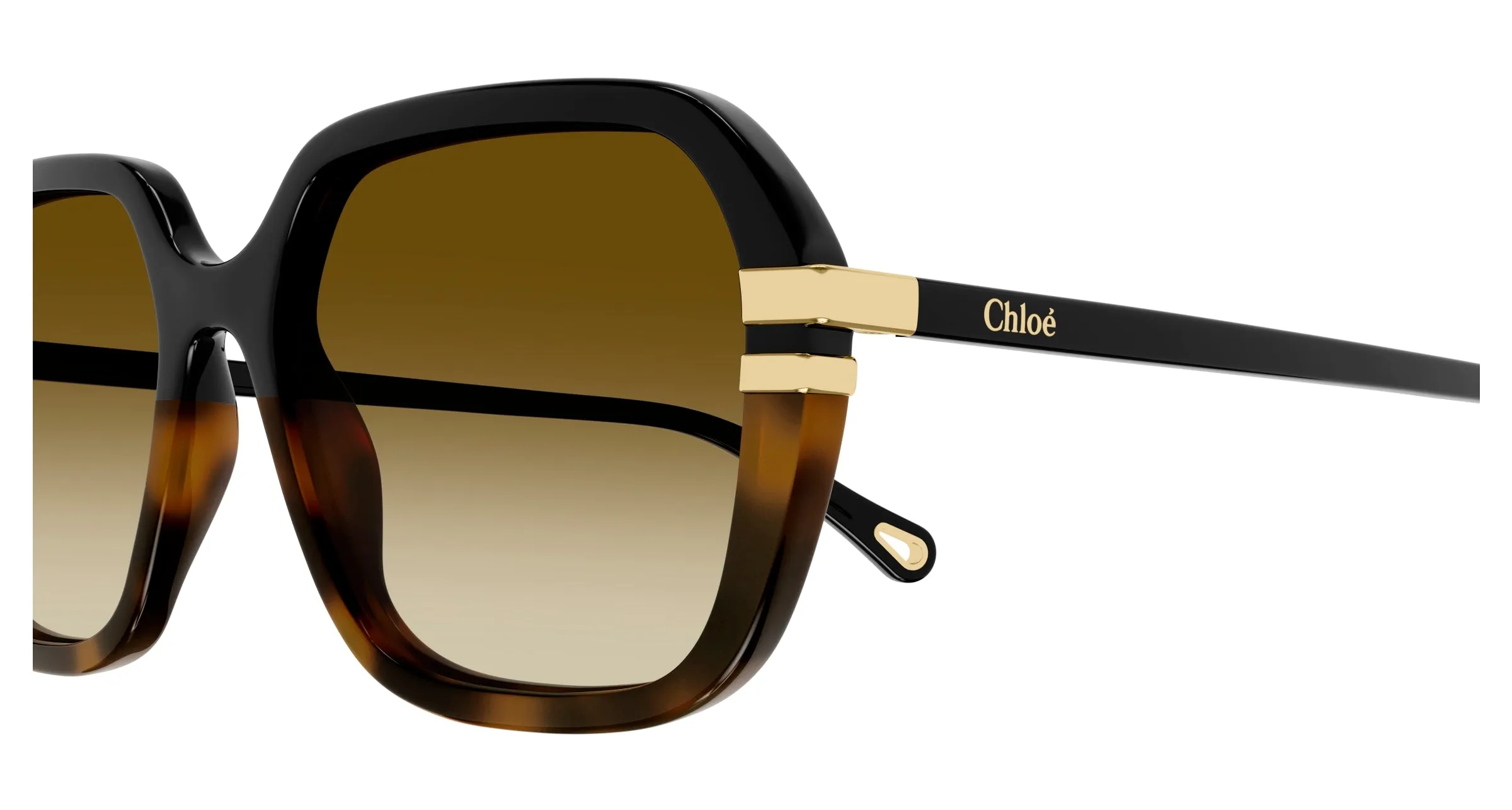 Chloé CH0204S 003 Occhiali da sole Acetato Nero Marrone Rotonda Sfumato - immagine 3