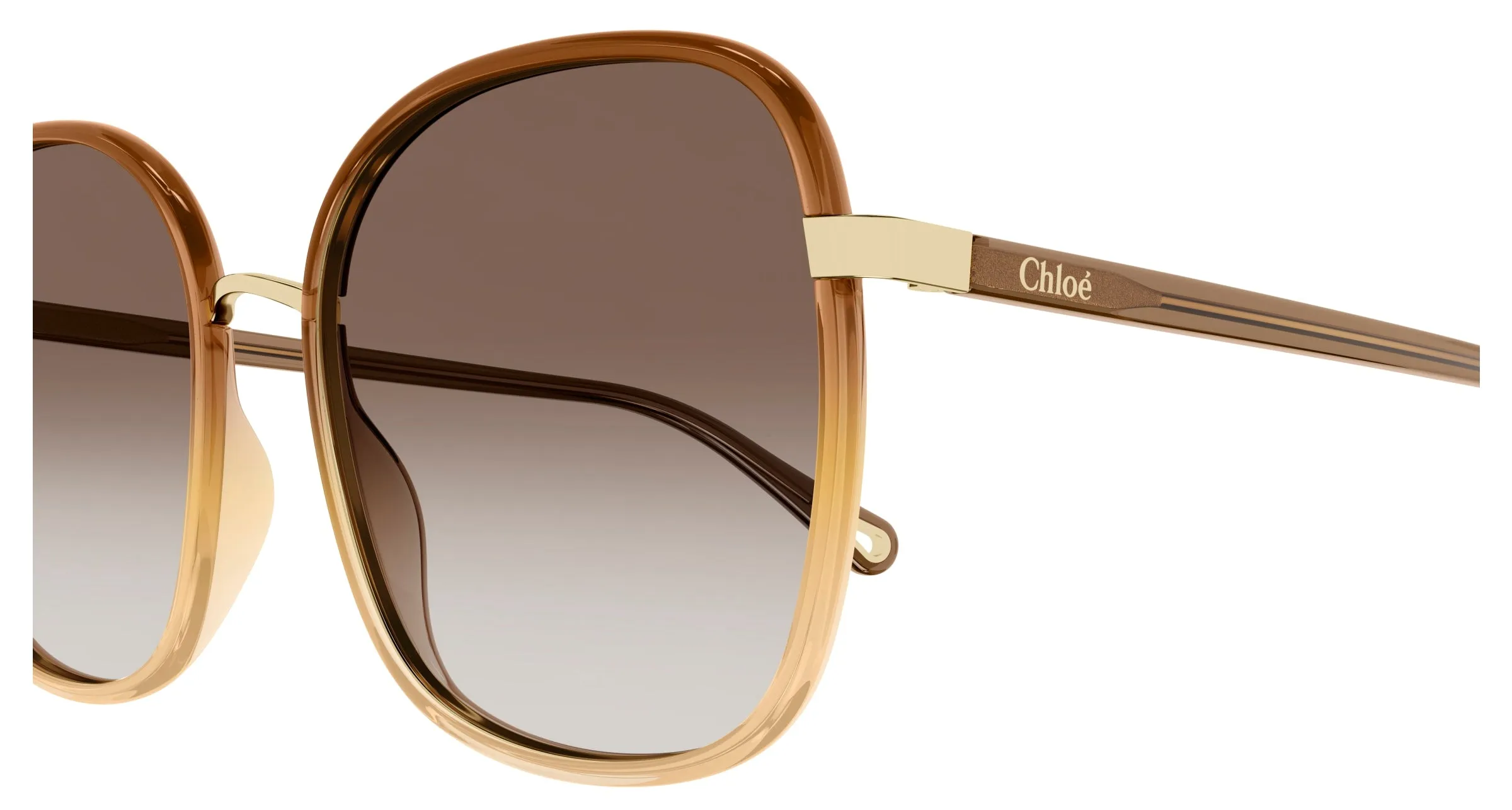 Chloé CH0031S 012 Occhiali da sole Bio-iniettato Marrone Marrone Squadrata Sfumato - immagine 3