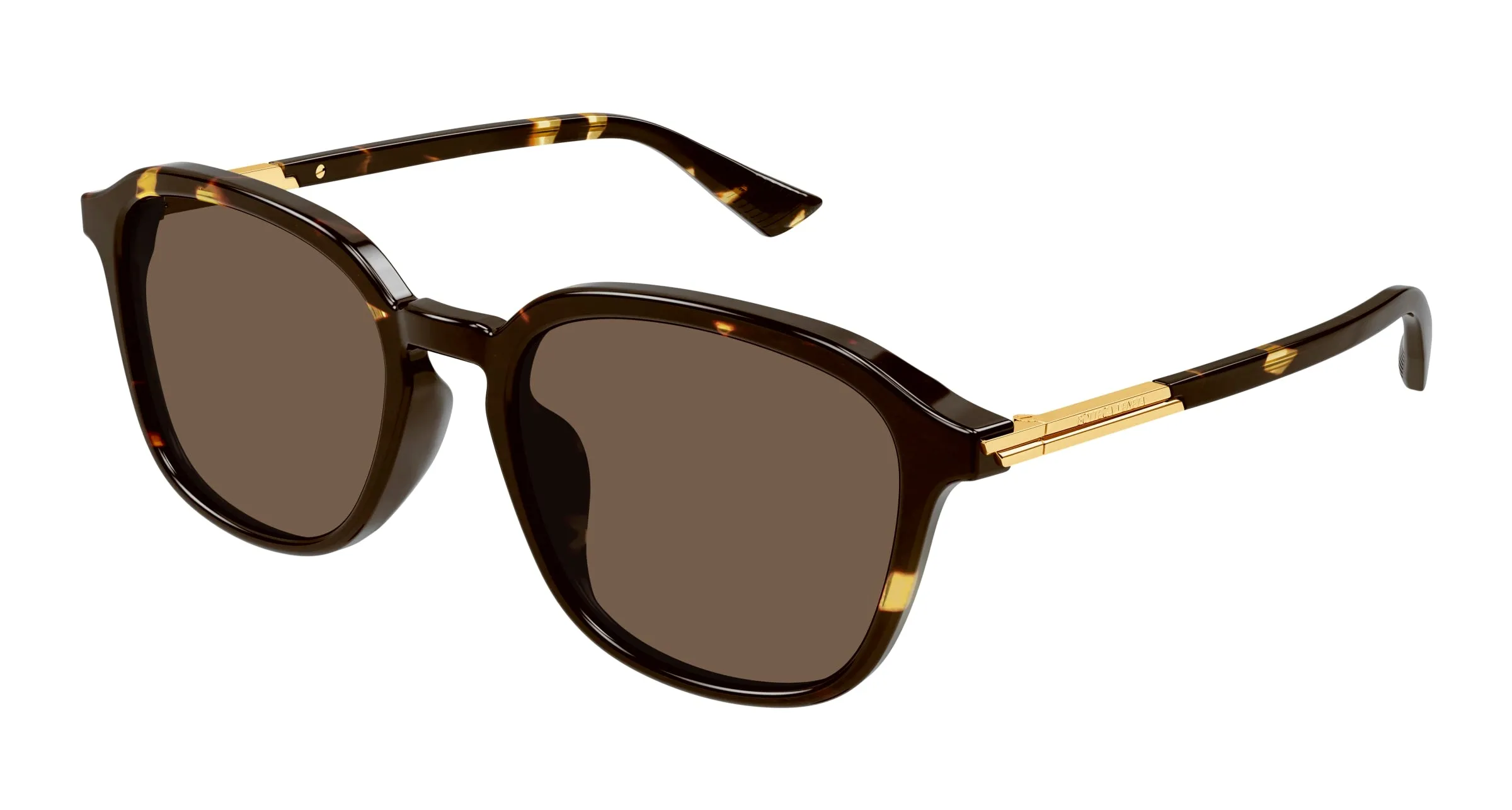 Bottega Veneta BV1262SA 002 Occhiali da sole Acetato Havana Marrone Squadrata - immagine 1