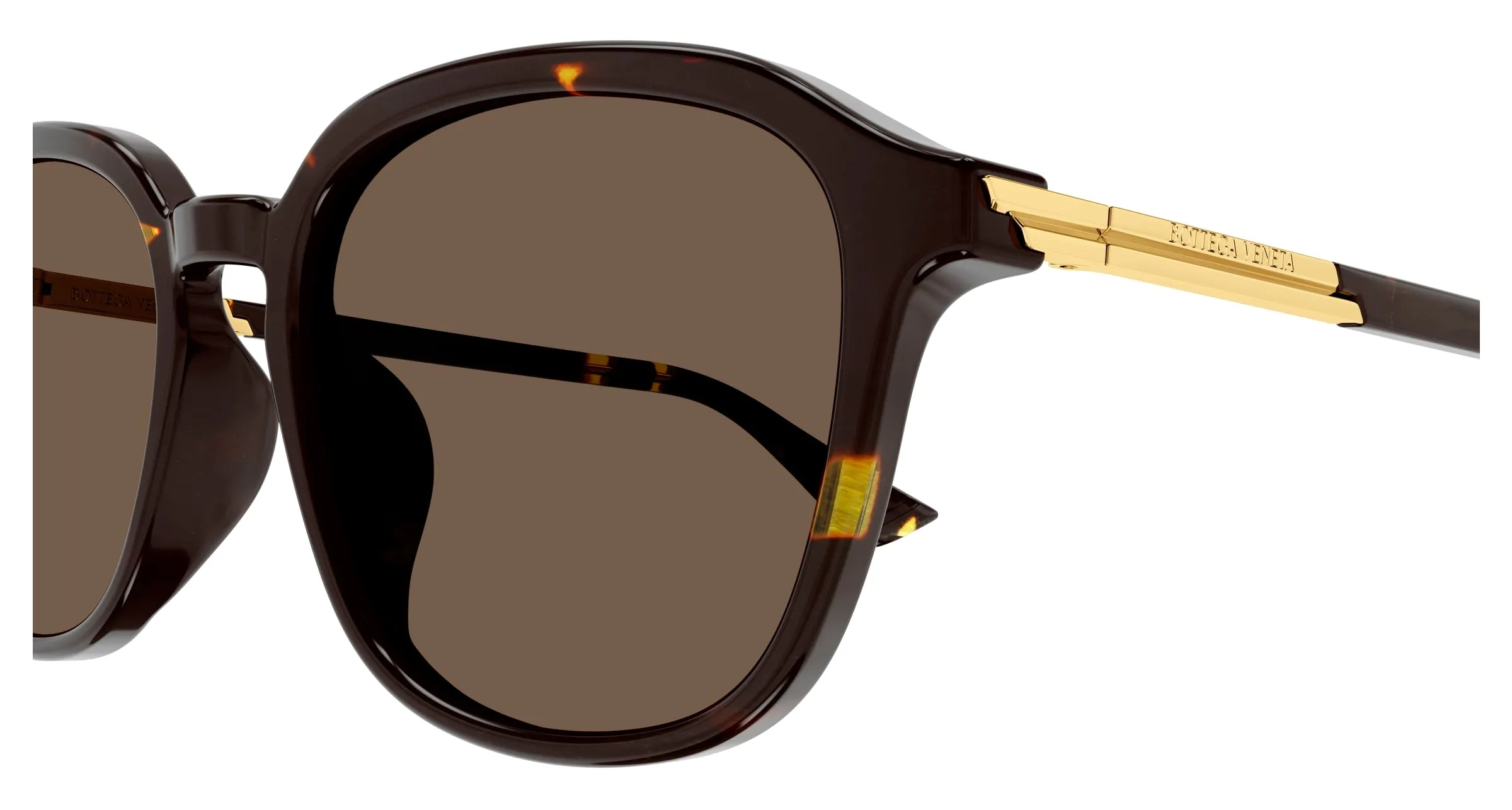 Bottega Veneta BV1262SA 002 Occhiali da sole Acetato Havana Marrone Squadrata - immagine 3