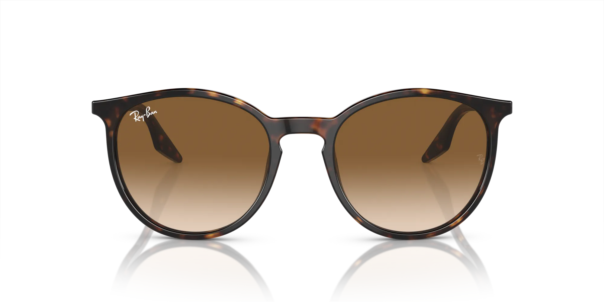 Ray - Ban RB2204 902/51 Occhiali da sole Acetato Tartaruga Marrone Pantos Normale Sfumato - immagine 3