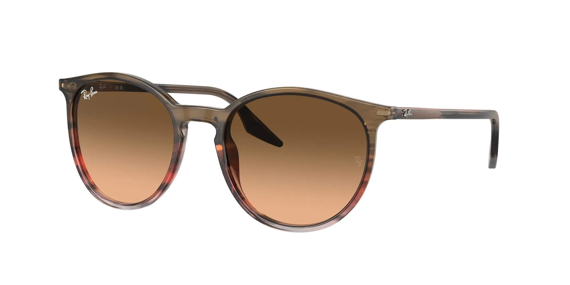 Ray - Ban RB2204 13953B Occhiali da sole Acetato Marrone Rosa Pantos Normale Sfumato - immagine 1
