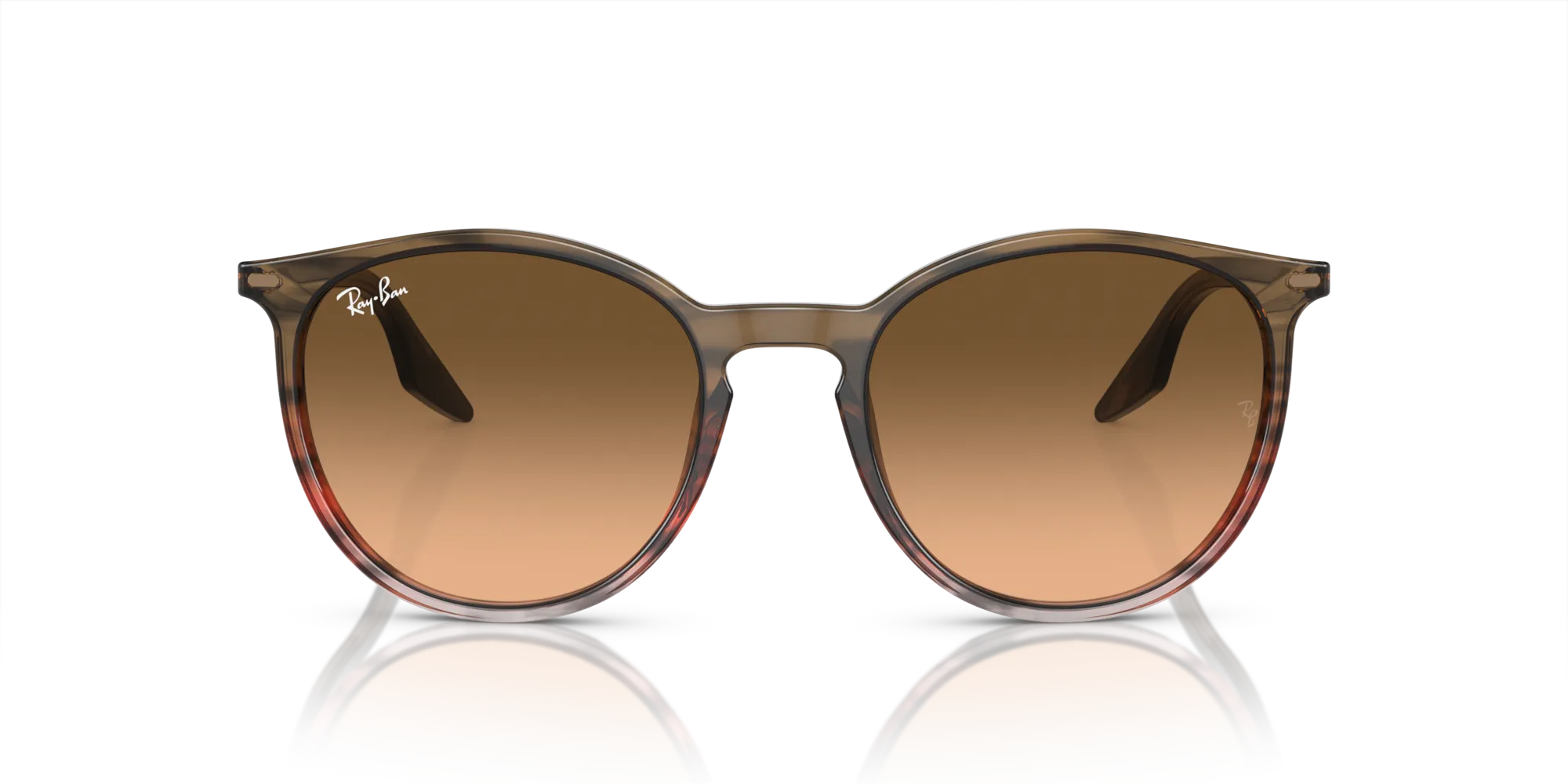 Ray - Ban RB2204 13953B Occhiali da sole Acetato Marrone Rosa Pantos Normale Sfumato - immagine 3