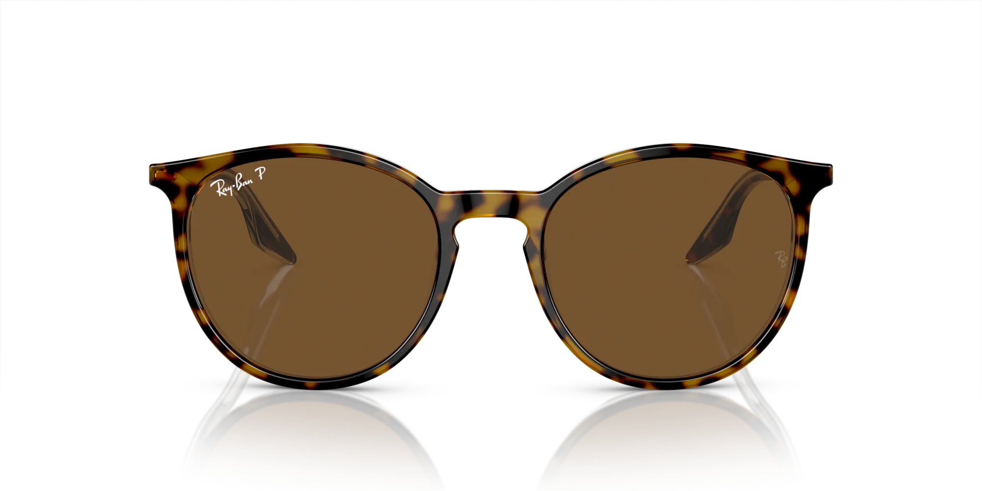 Ray - Ban RB2204 139357 Occhiali da sole Acetato Marrone Marrone Pantos Polarizzata - immagine 3