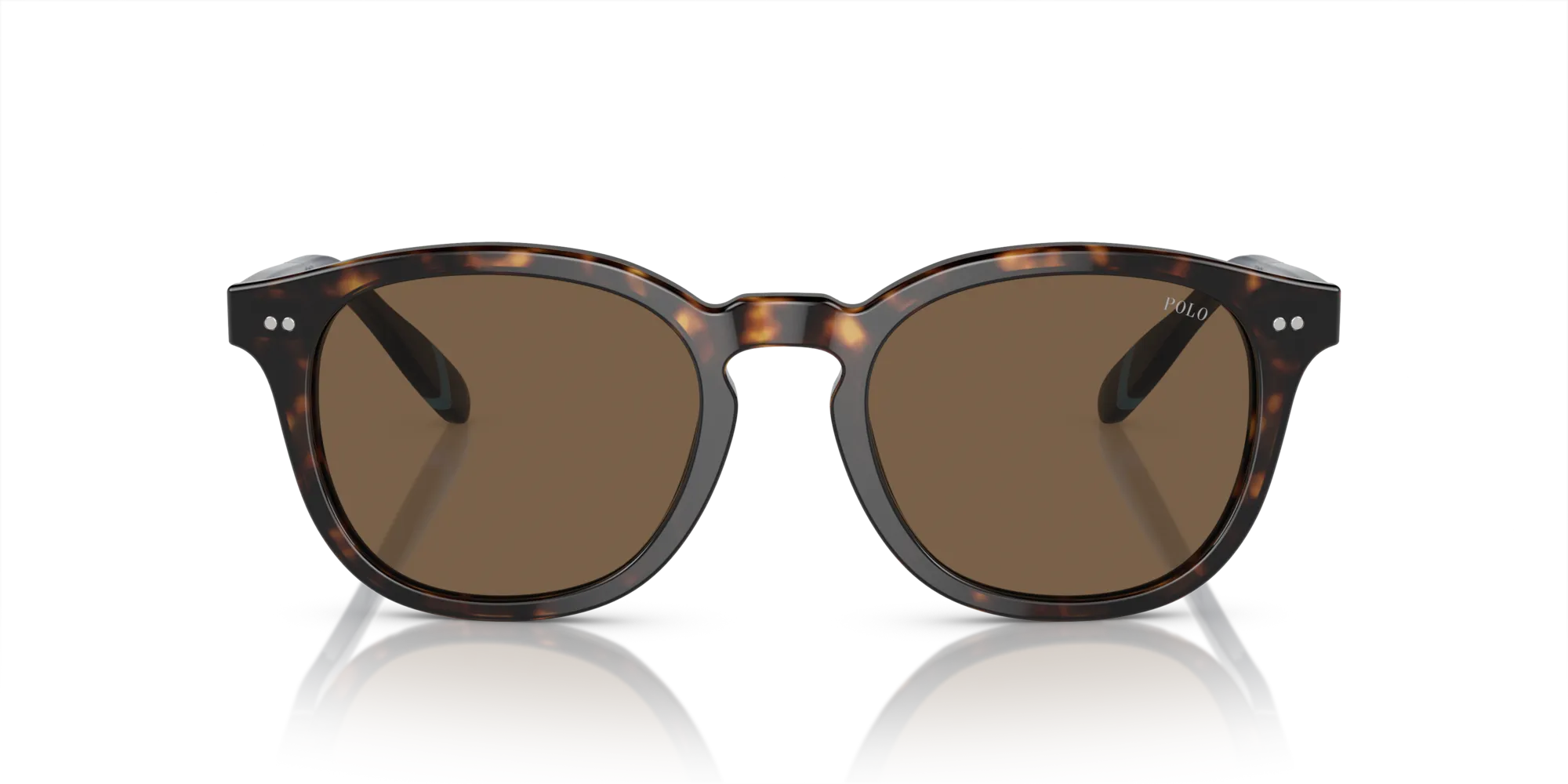 Polo Ralph Lauren PH4206 500373 Occhiali da sole Acetato Tartaruga Marrone Pantos Normale - immagine 3