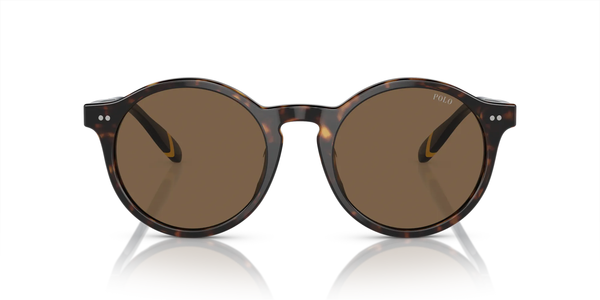 Polo Ralph Lauren PH4204U 500373 Occhiali da sole Acetato Tartaruga Marrone Pantos Normale - immagine 3