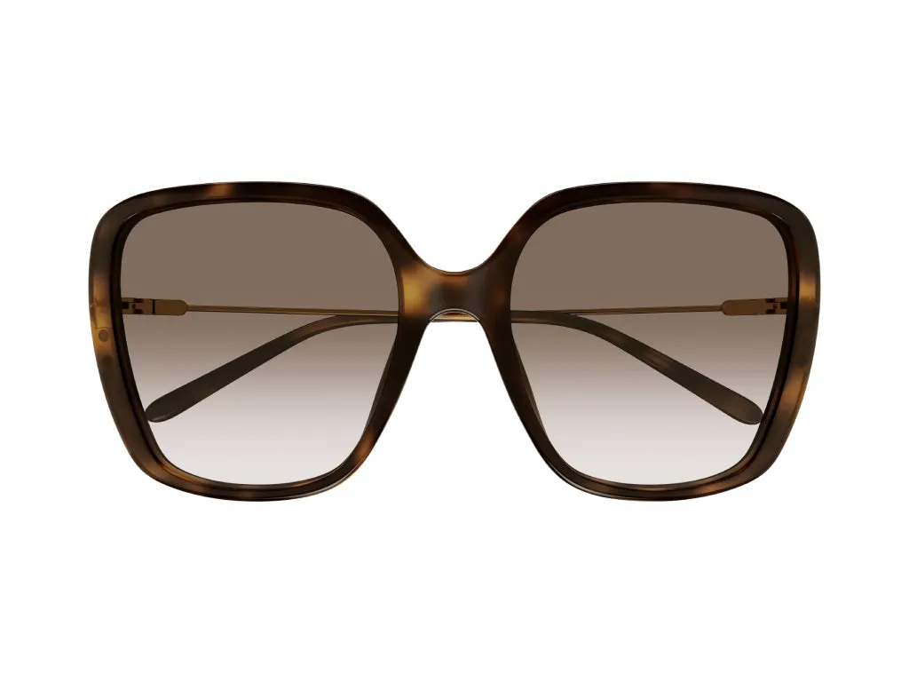 Chloé CH0173S 002 Occhiali da sole Acetato Havana Marrone Squadrata Sfumato - immagine 2