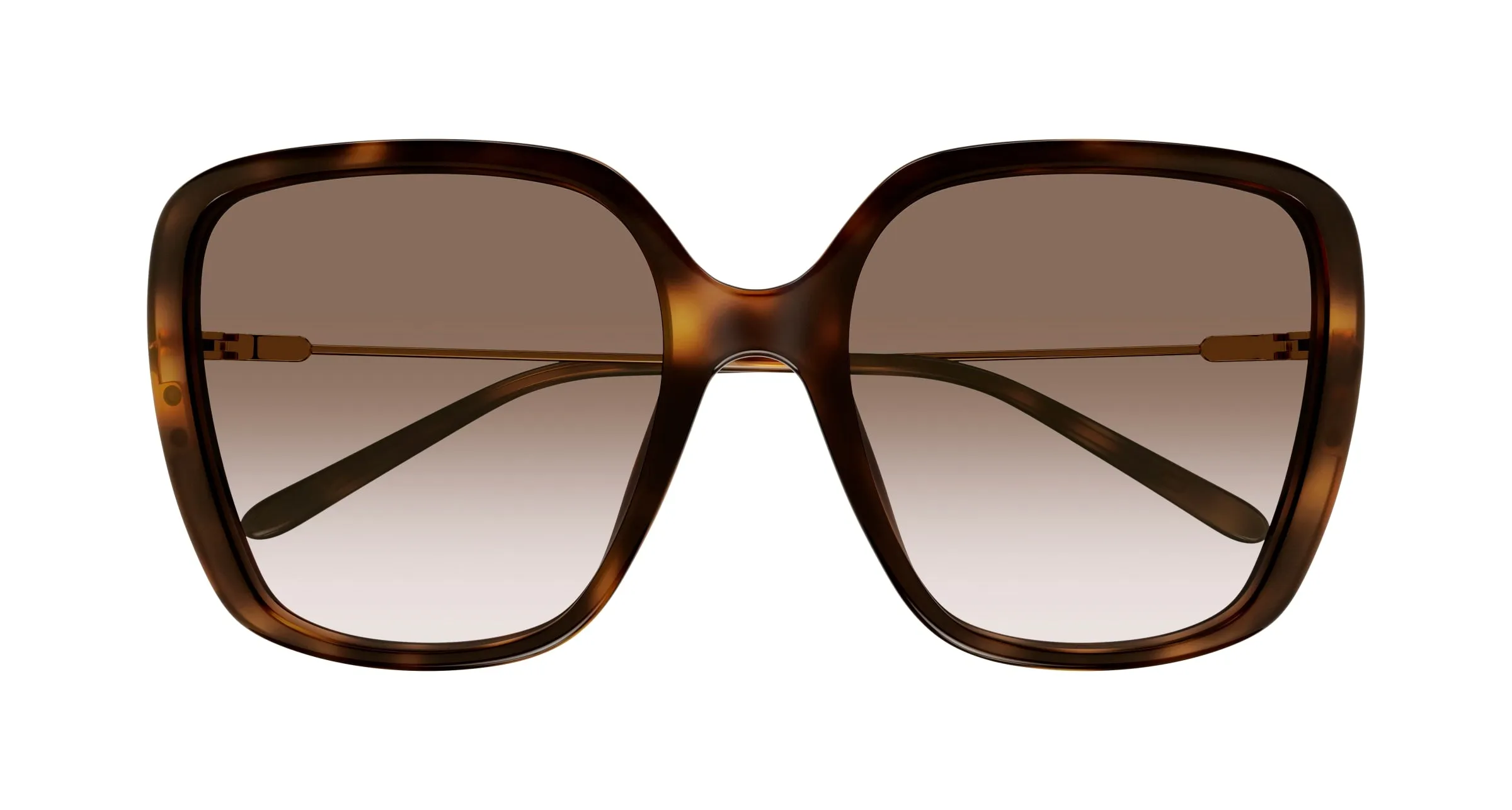 Chloé CH0173S 002 Occhiali da sole Acetato Havana Marrone Squadrata Sfumato - immagine 3
