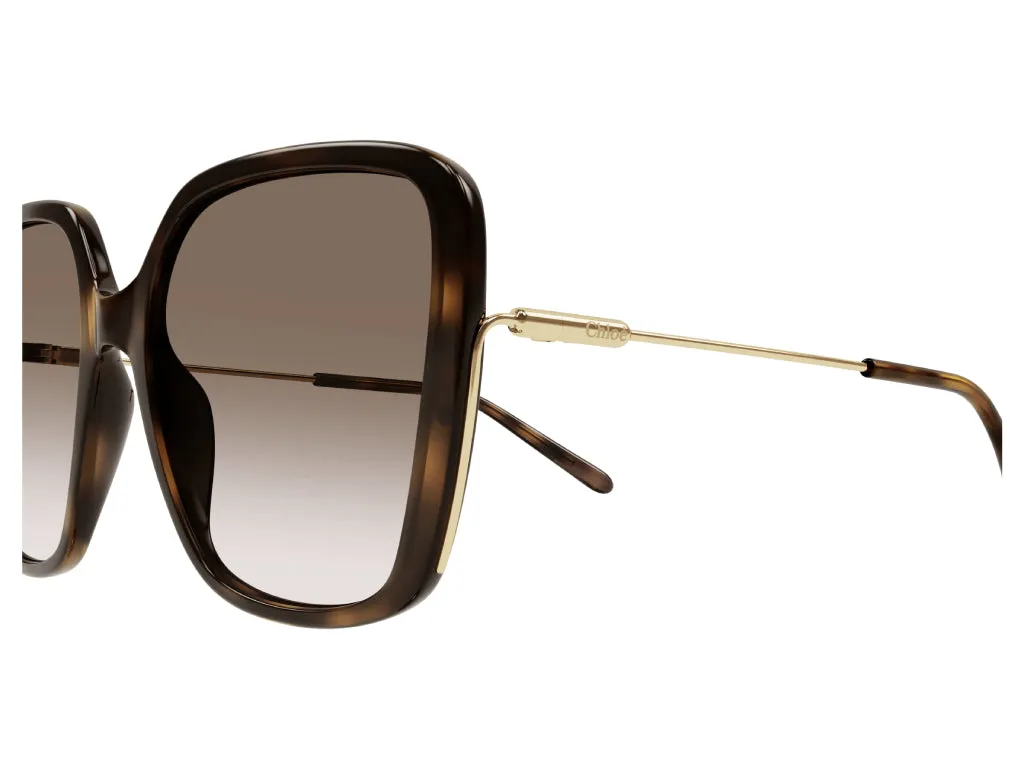 Chloé CH0173S 002 Occhiali da sole Acetato Havana Marrone Squadrata Sfumato - immagine 4