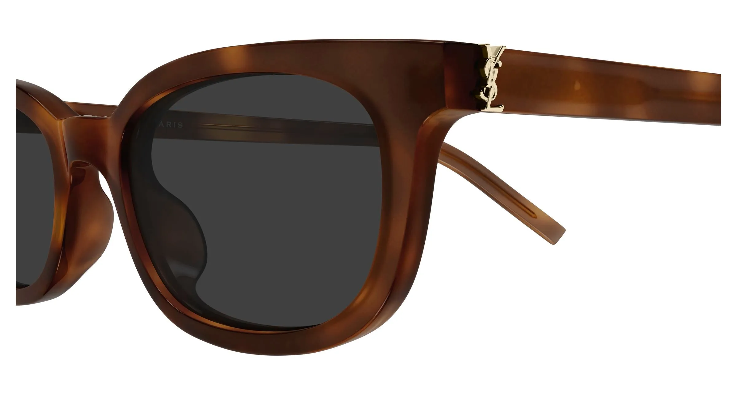 SAINT LAURENT SL M160/F 003 Occhiali da sole Acetato Havana Grigio Rotonda - immagine 3