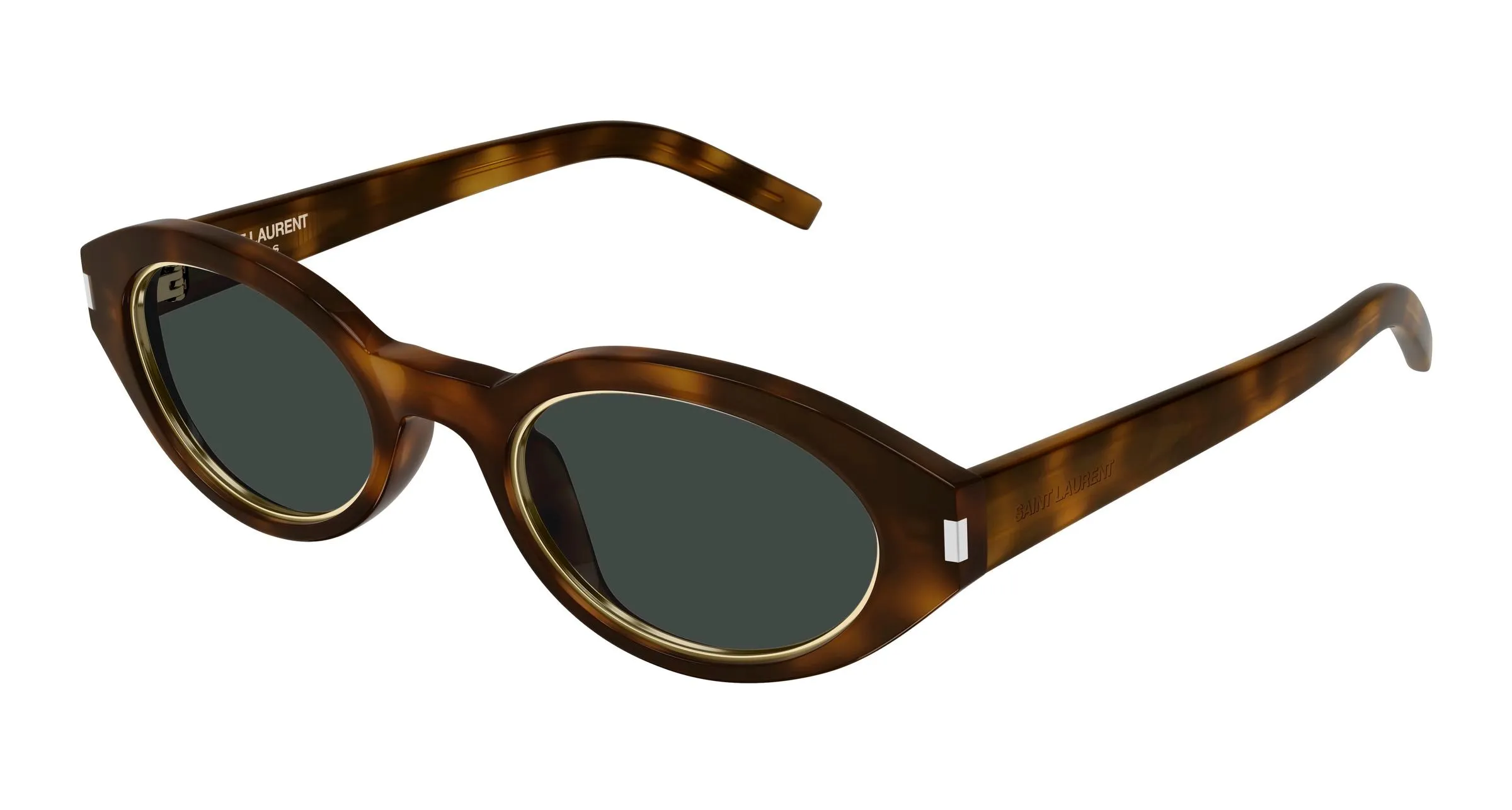 SAINT LAURENT SL 567 RIM 006 Occhiali da sole Acetato Havana Grigio Rotonda - immagine 1
