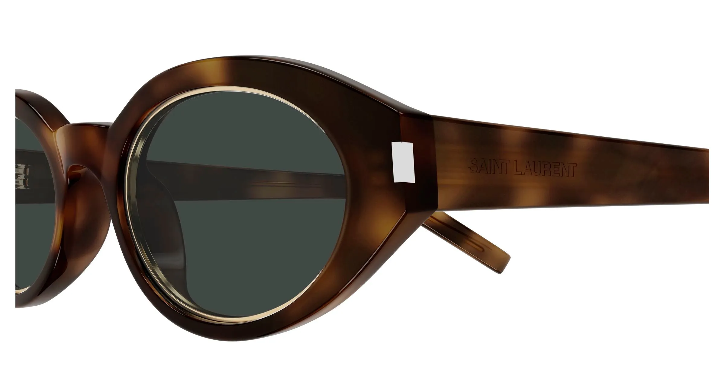SAINT LAURENT SL 567 RIM 006 Occhiali da sole Acetato Havana Grigio Rotonda - immagine 3