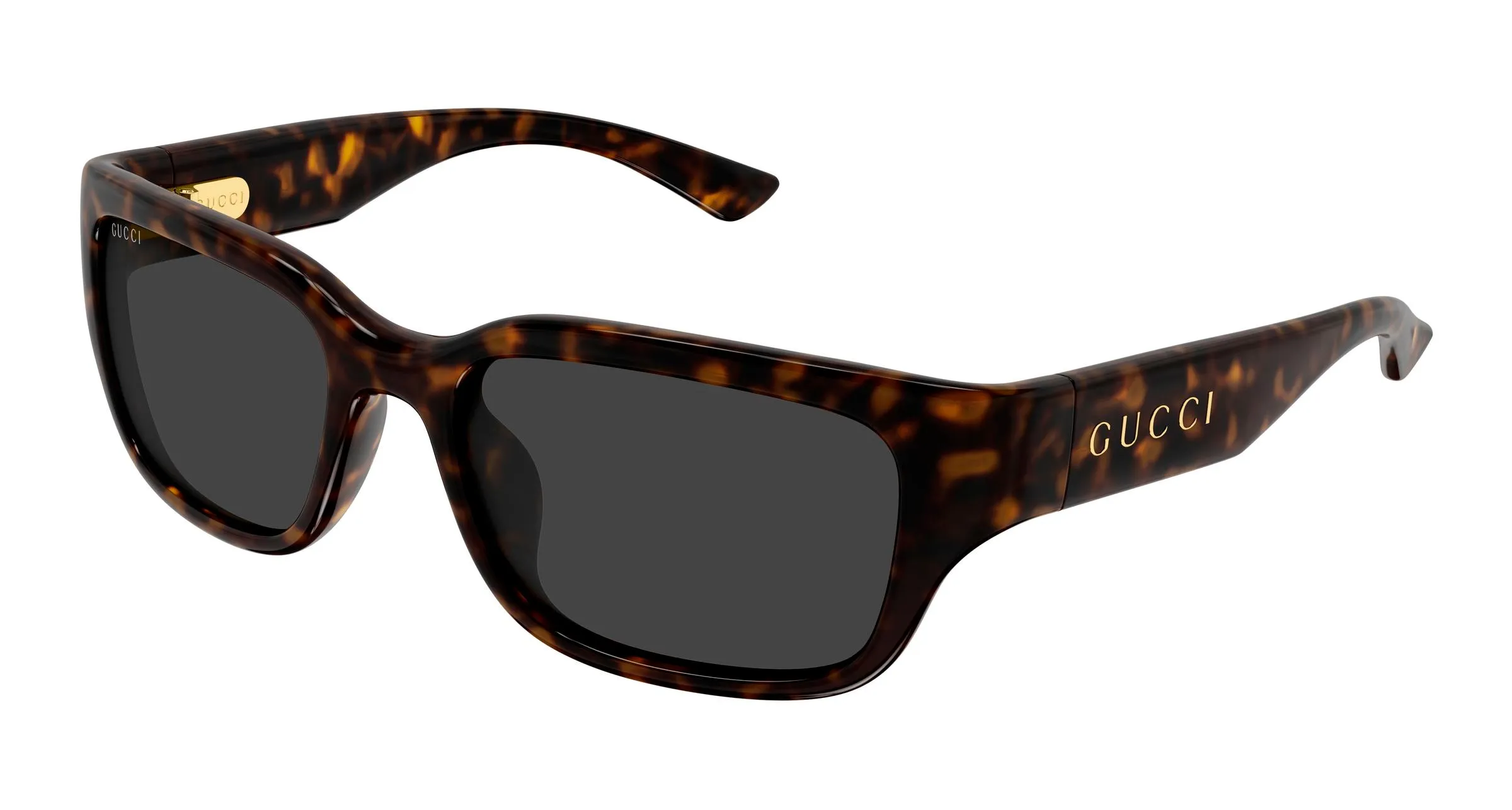 Gucci GG2241SK 002 Occhiali da sole Iniettato Havana Grigio Squadrata - immagine 1