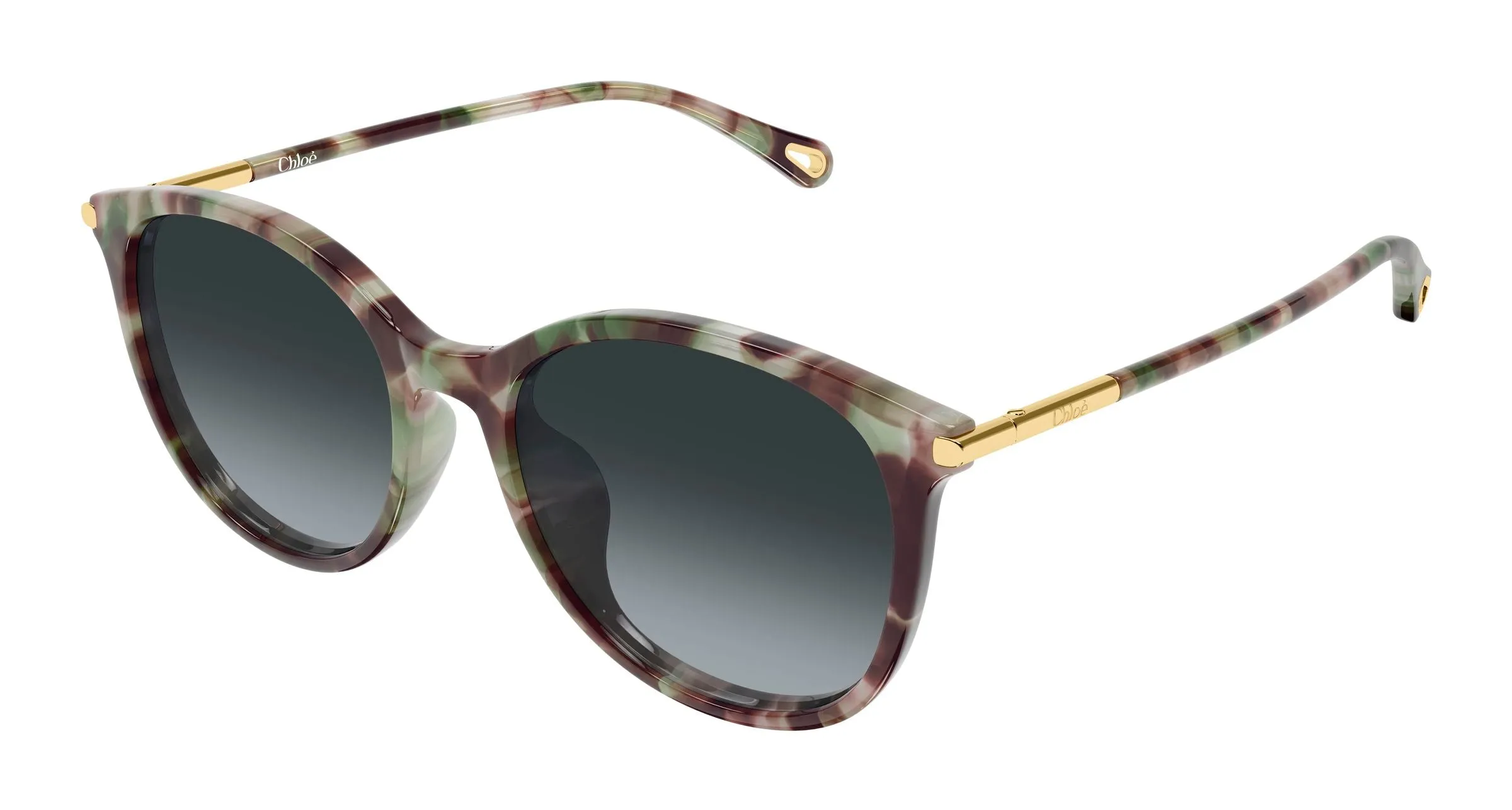 Chloé CH0397SK 004 Occhiali da sole Acetato Havana Fumo Rotonda Sfumato - immagine 1
