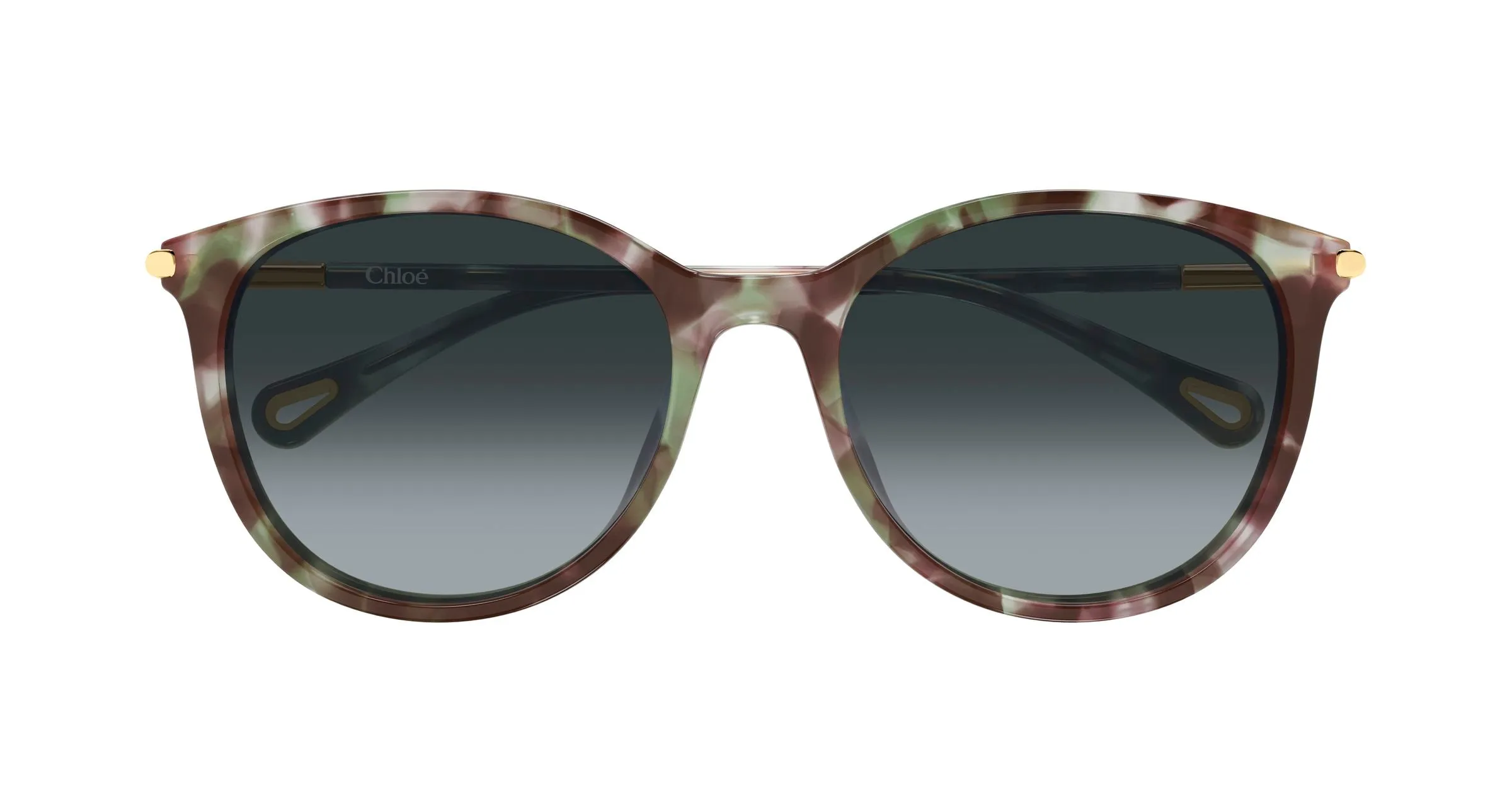 Chloé CH0397SK 004 Occhiali da sole Acetato Havana Fumo Rotonda Sfumato - immagine 2