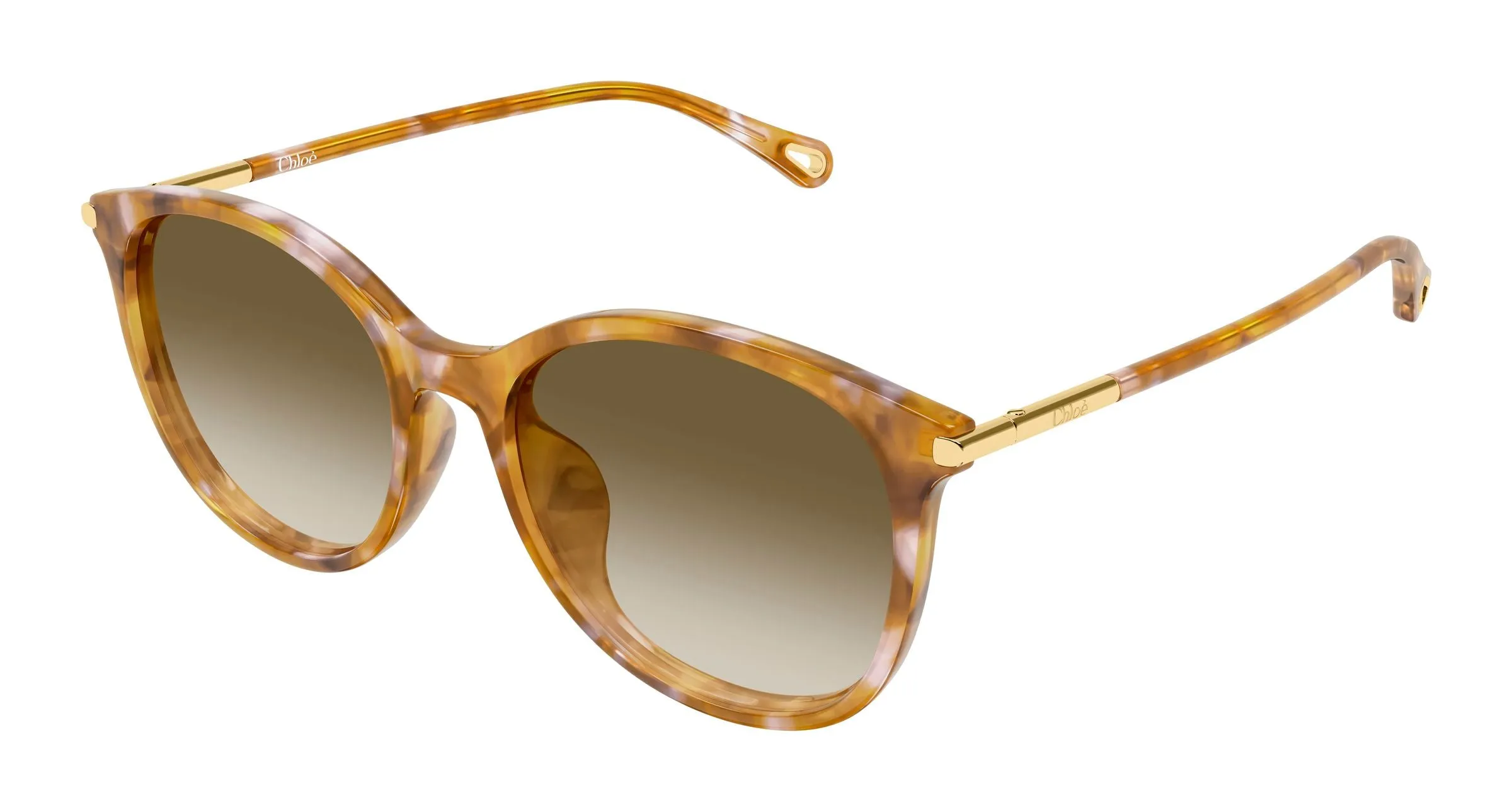 Chloé CH0397SK 003 Occhiali da sole Acetato Havana Marrone Rotonda Sfumato - immagine 1
