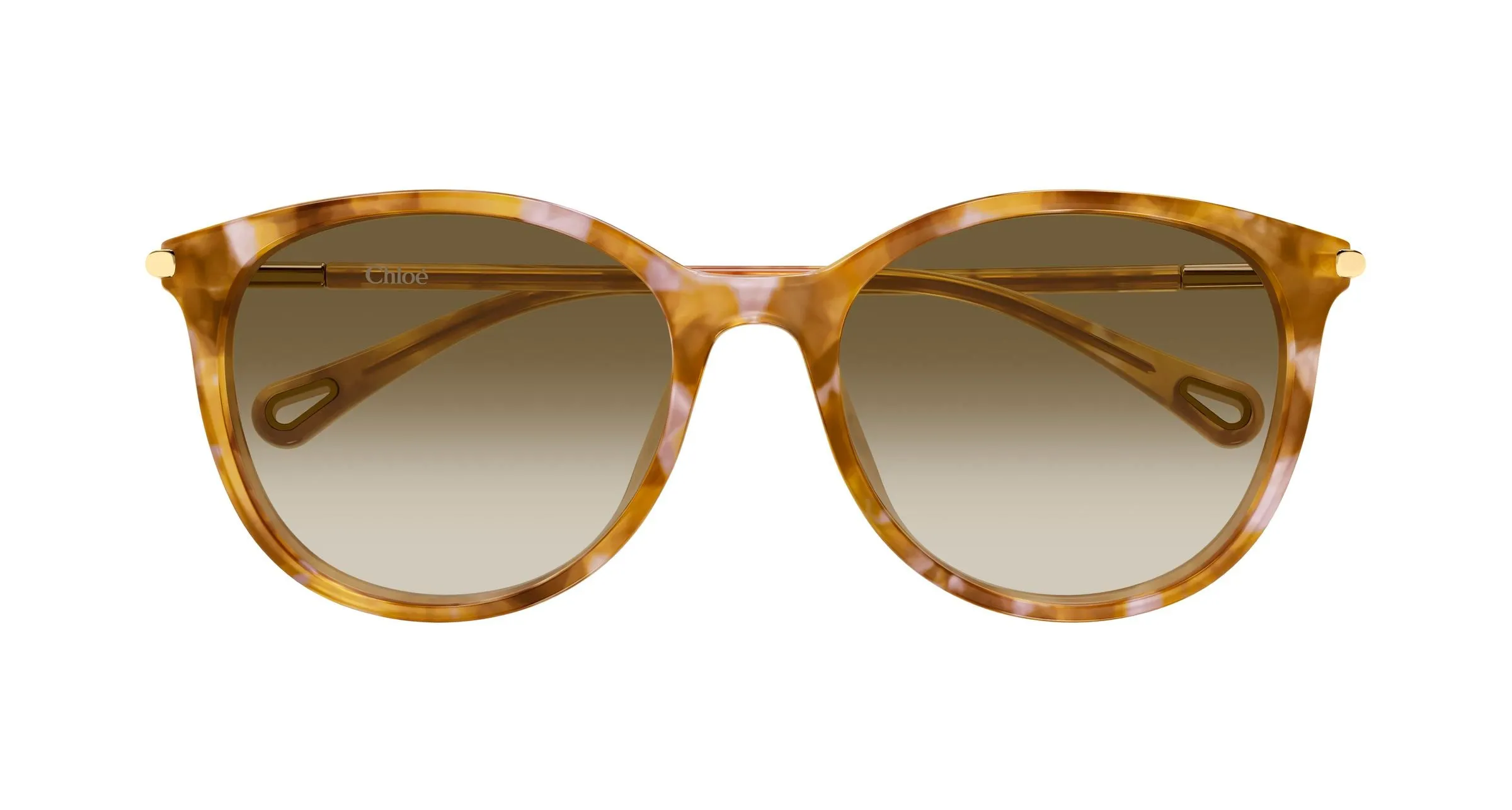 Chloé CH0397SK 003 Occhiali da sole Acetato Havana Marrone Rotonda Sfumato - immagine 2