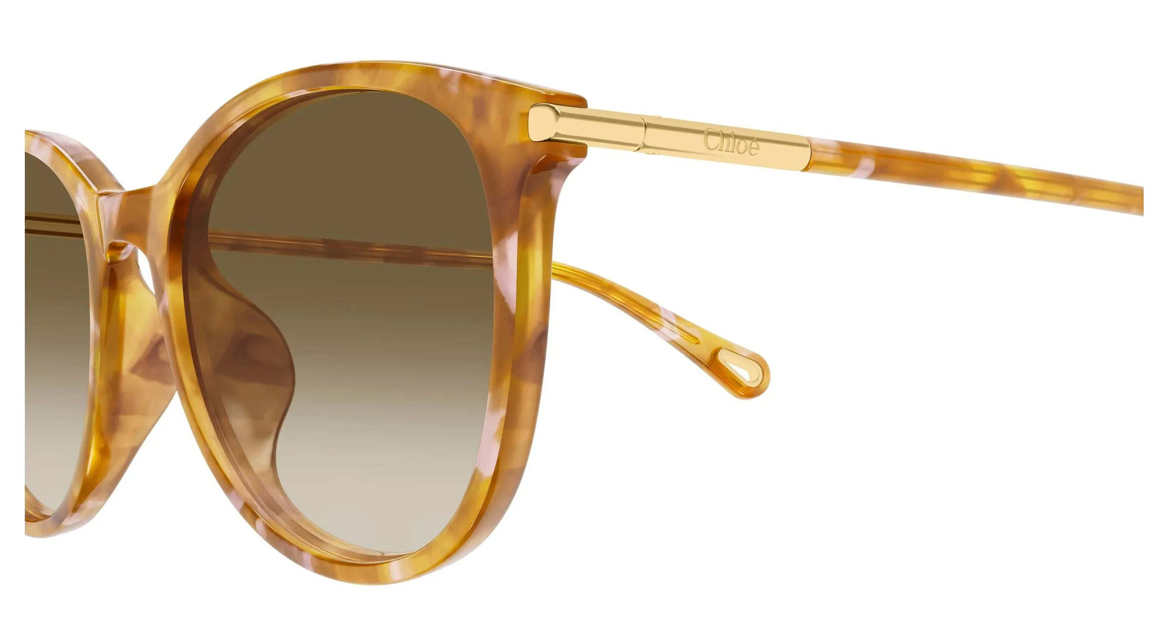 Chloé CH0397SK 003 Occhiali da sole Acetato Havana Marrone Rotonda Sfumato - immagine 3