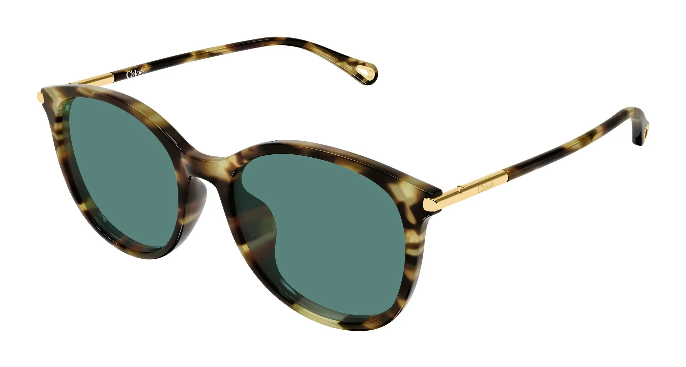 Chloé CH0397SK 002 Occhiali da sole Acetato Havana Verde Rotonda - immagine 1