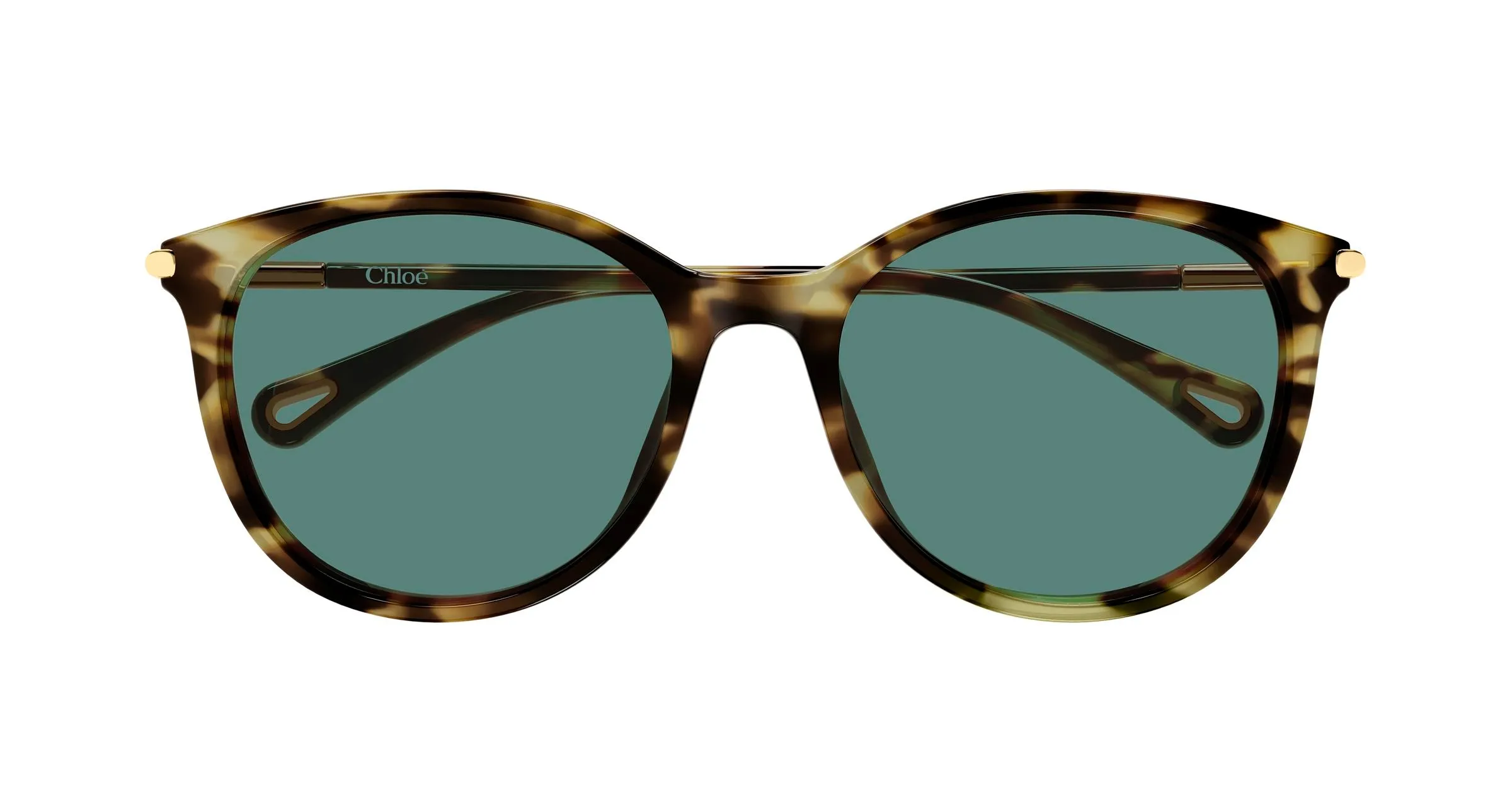 Chloé CH0397SK 002 Occhiali da sole Acetato Havana Verde Rotonda - immagine 2