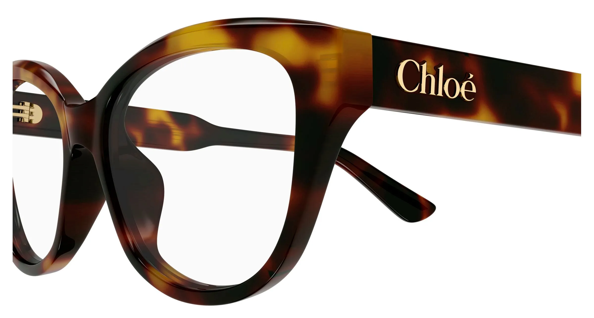 Chloé CH0381OL 002 Montature da vista Acetato Havana Trasparente Cat Eye - immagine 3