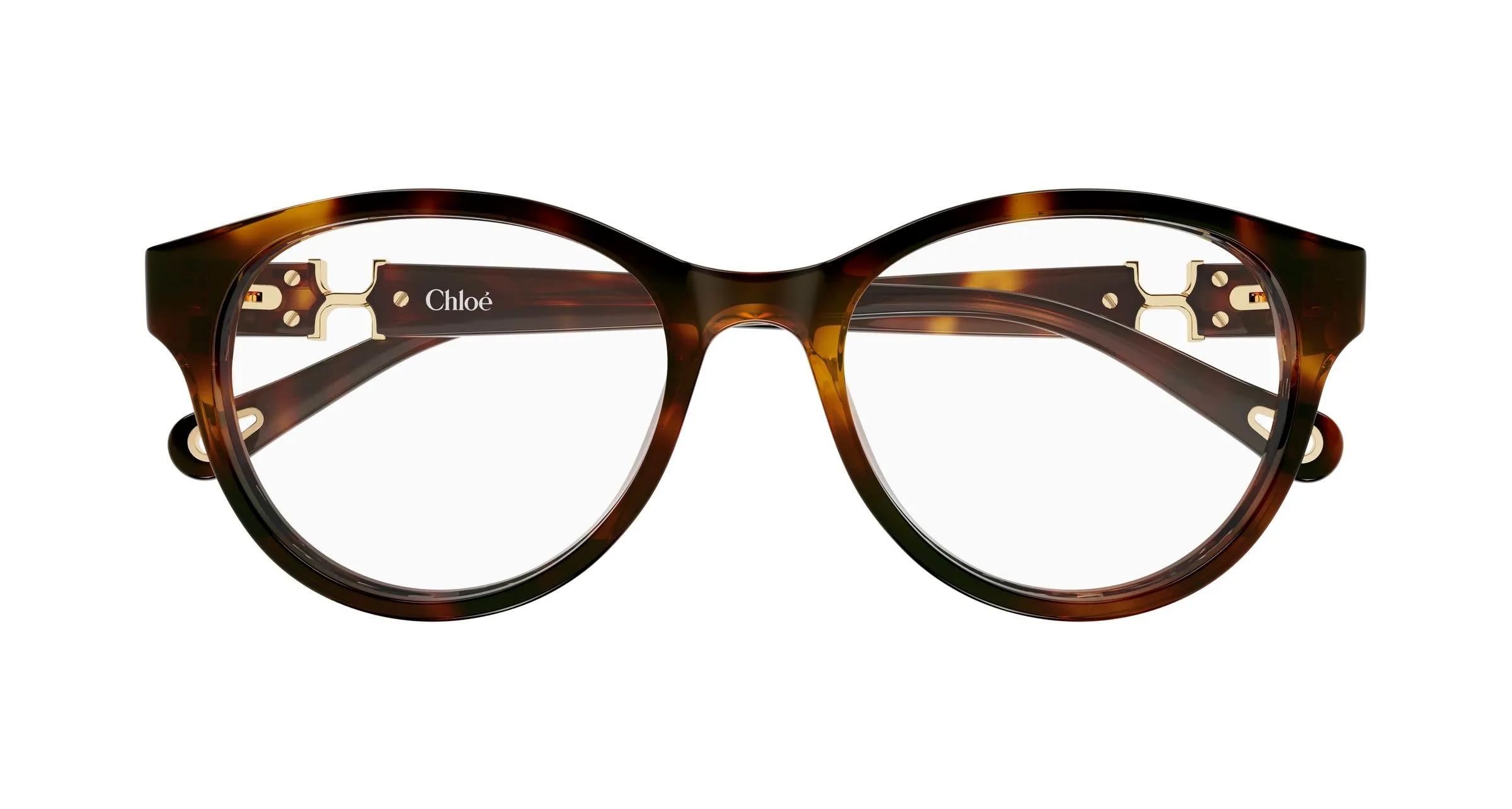 Chloé CH0376OA 002 Montature da vista Acetato Havana Trasparente Rotonda - immagine 2