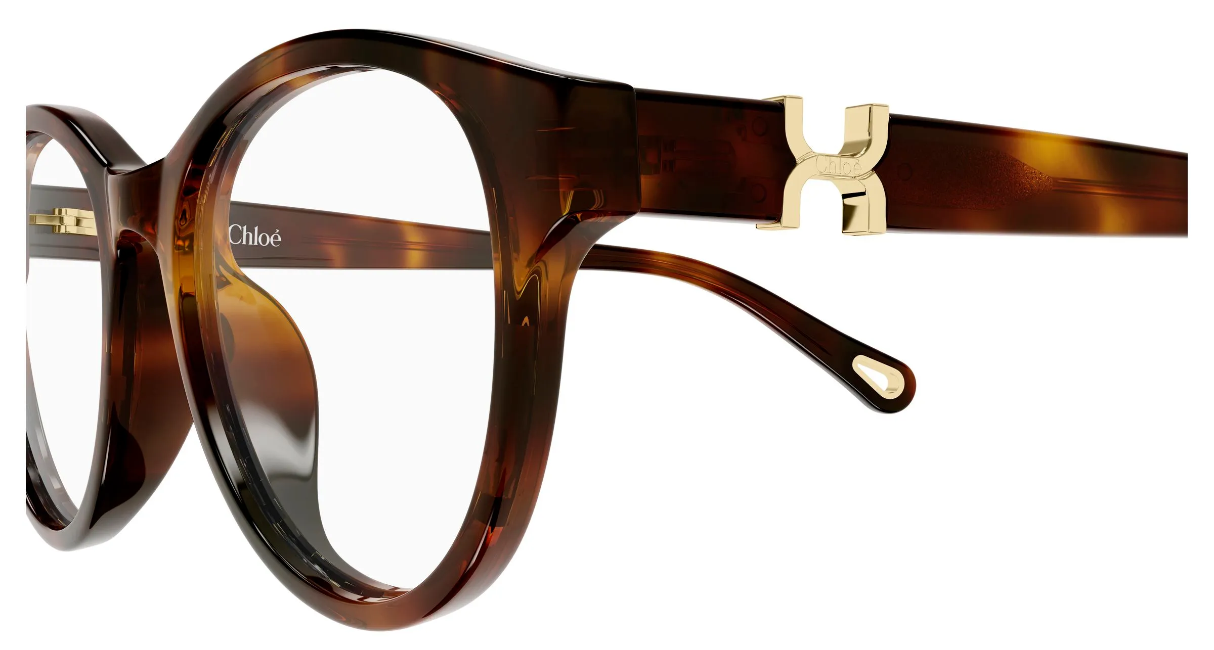 Chloé CH0376OA 002 Montature da vista Acetato Havana Trasparente Rotonda - immagine 3