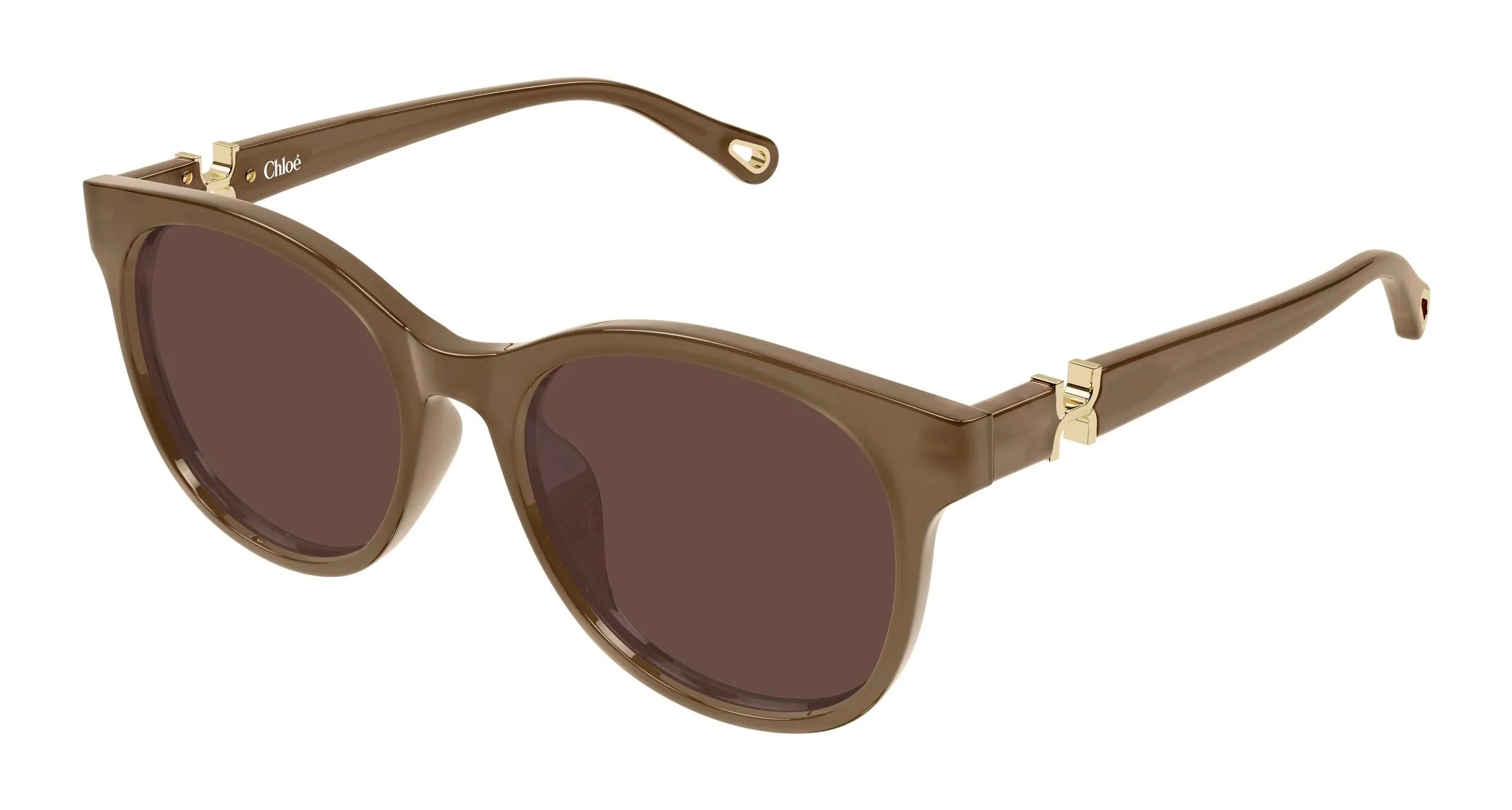 Chloé CH0375SK 004 Occhiali da sole Acetato Marrone Marrone Rotonda - immagine 1
