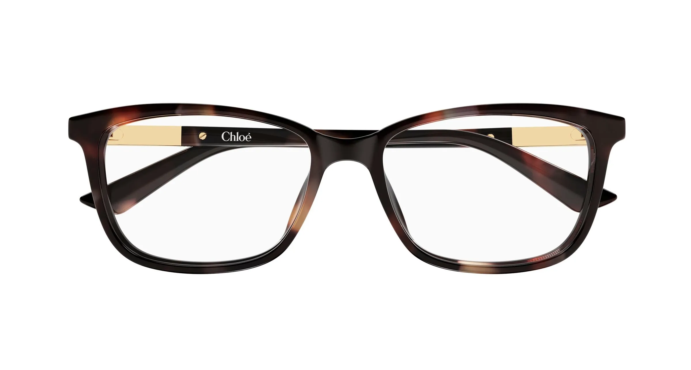 Chloé CH0371OA 002 Montature da vista Acetato Havana Trasparente Farfalla - immagine 2