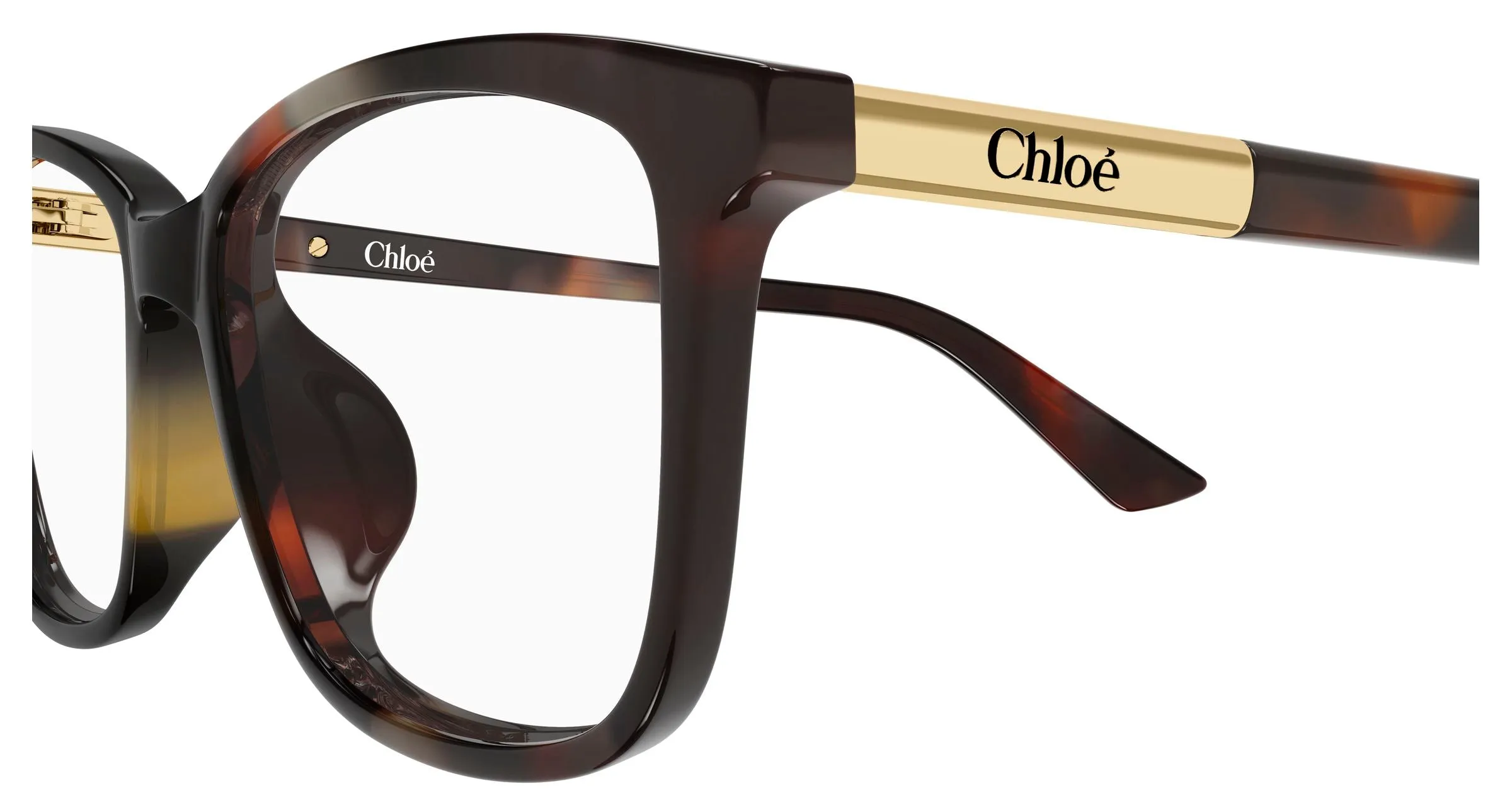 Chloé CH0371OA 002 Montature da vista Acetato Havana Trasparente Farfalla - immagine 3