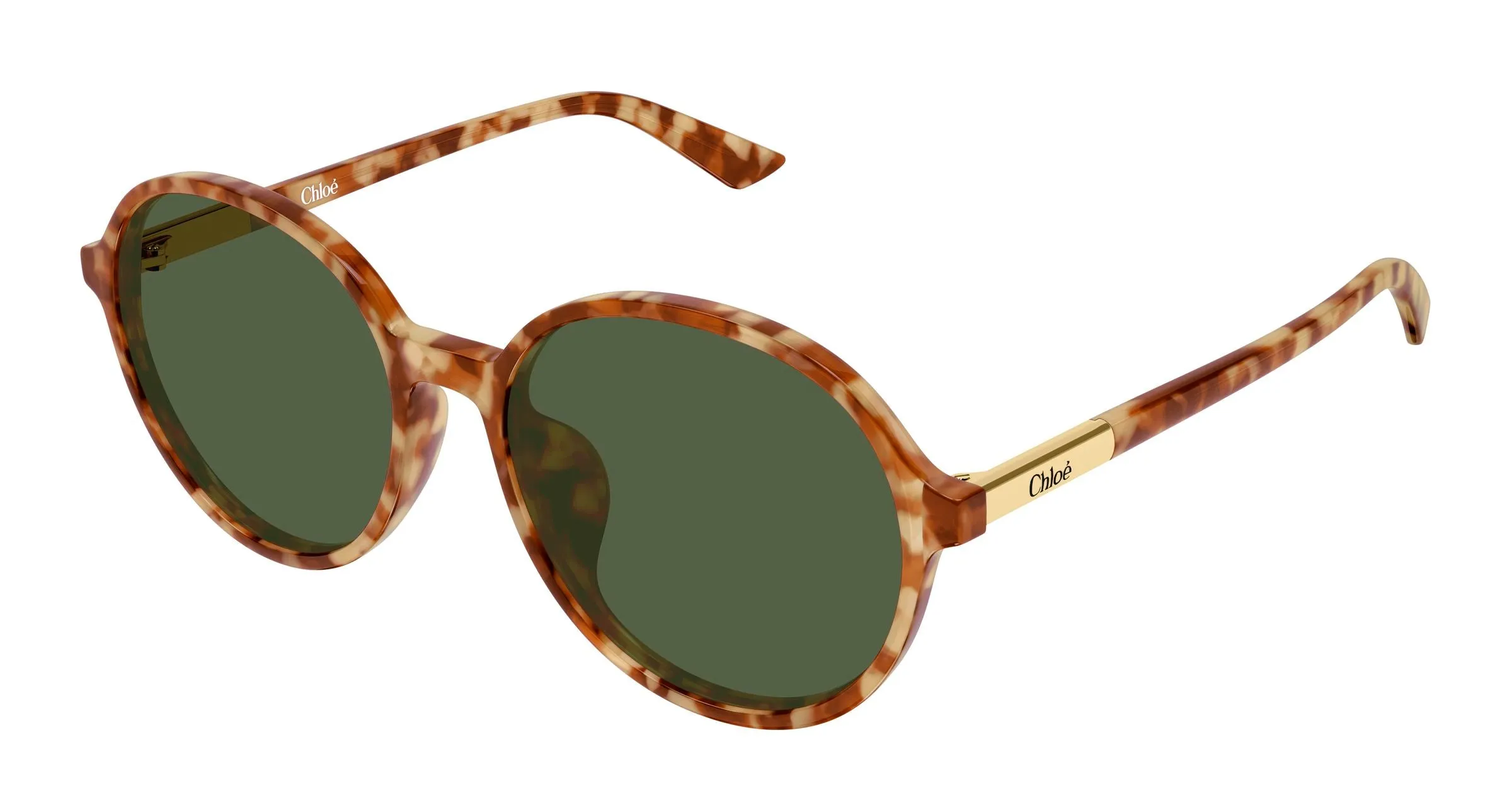 Chloé CH0365SK 004 Occhiali da sole Acetato Havana Verde Rotonda - immagine 1