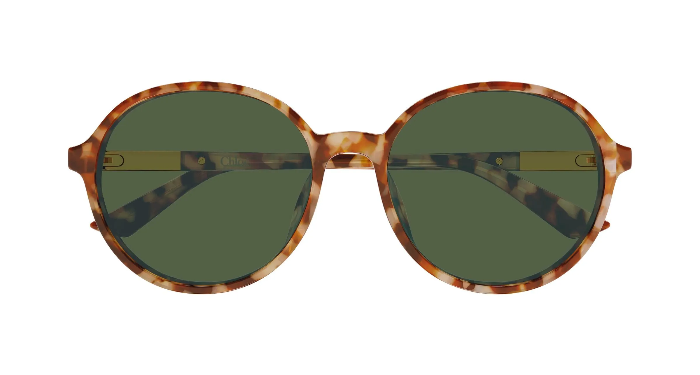 Chloé CH0365SK 004 Occhiali da sole Acetato Havana Verde Rotonda - immagine 2
