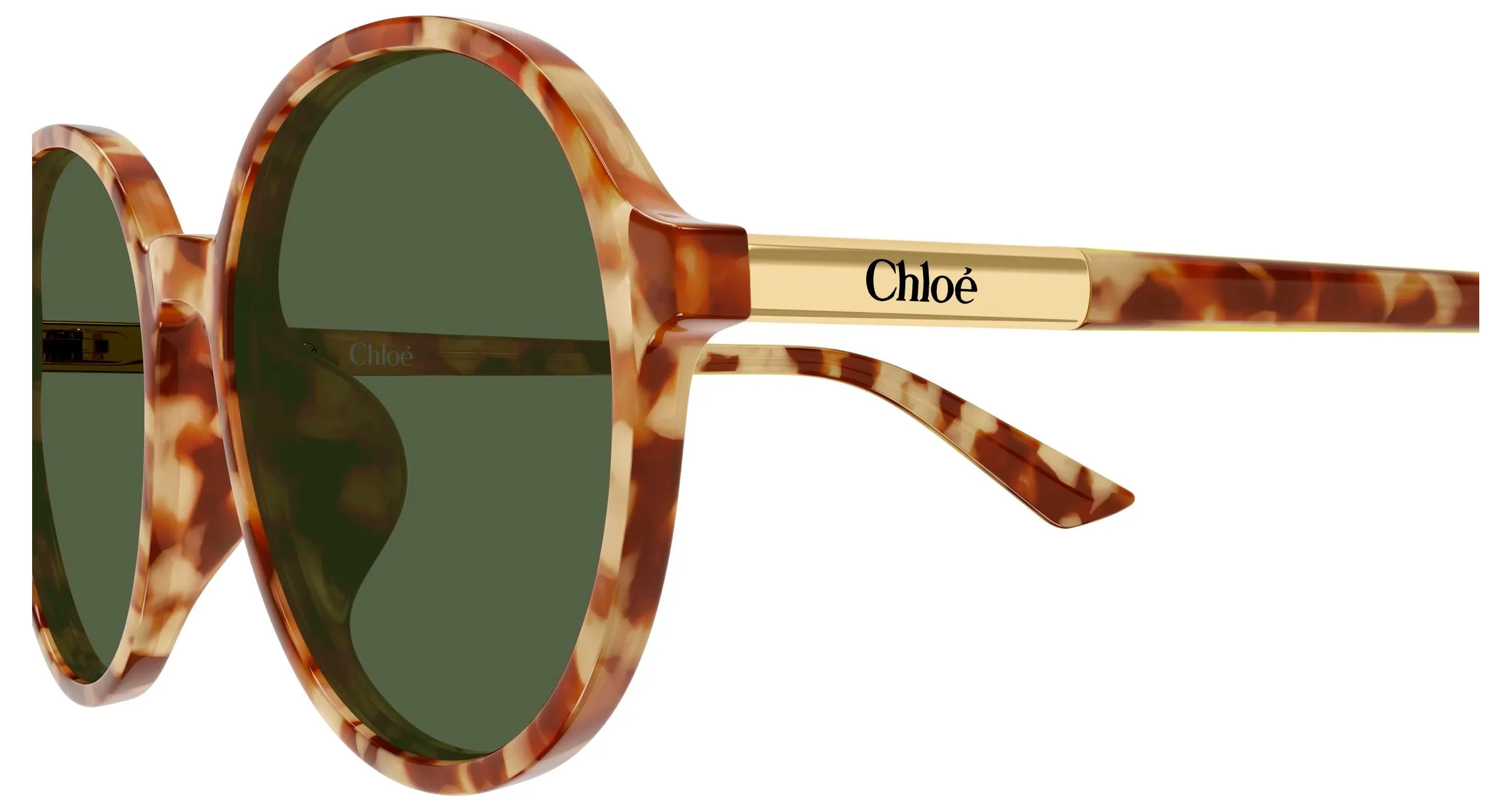 Chloé CH0365SK 004 Occhiali da sole Acetato Havana Verde Rotonda - immagine 3
