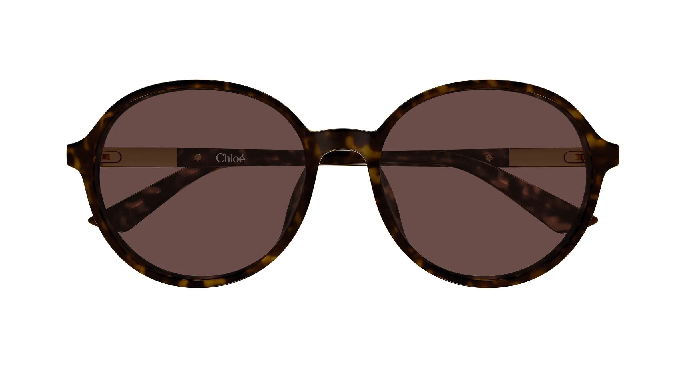 Chloé CH0365SK 002 Occhiali da sole Acetato Havana Marrone Rotonda - immagine 2