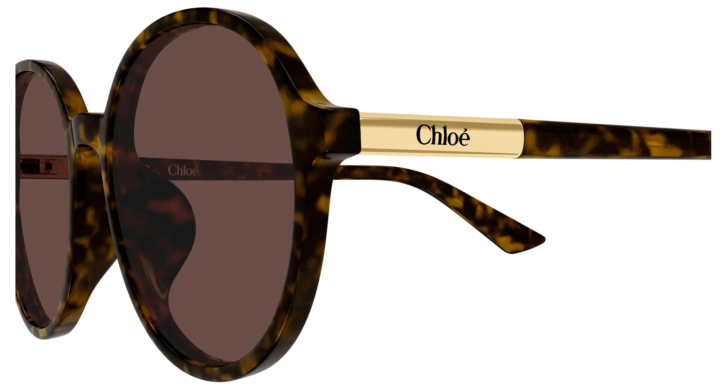Chloé CH0365SK 002 Occhiali da sole Acetato Havana Marrone Rotonda - immagine 3